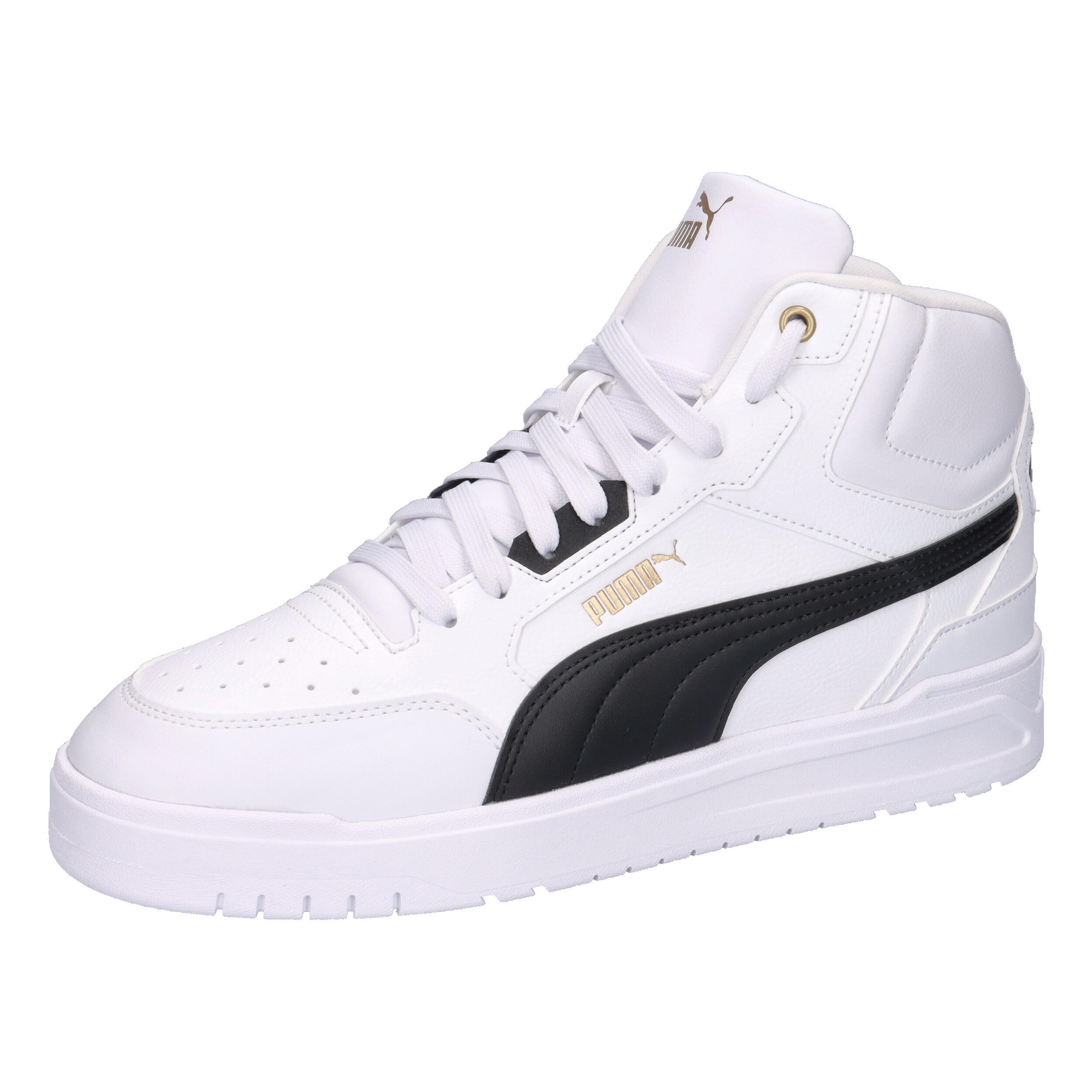 PUMA picture