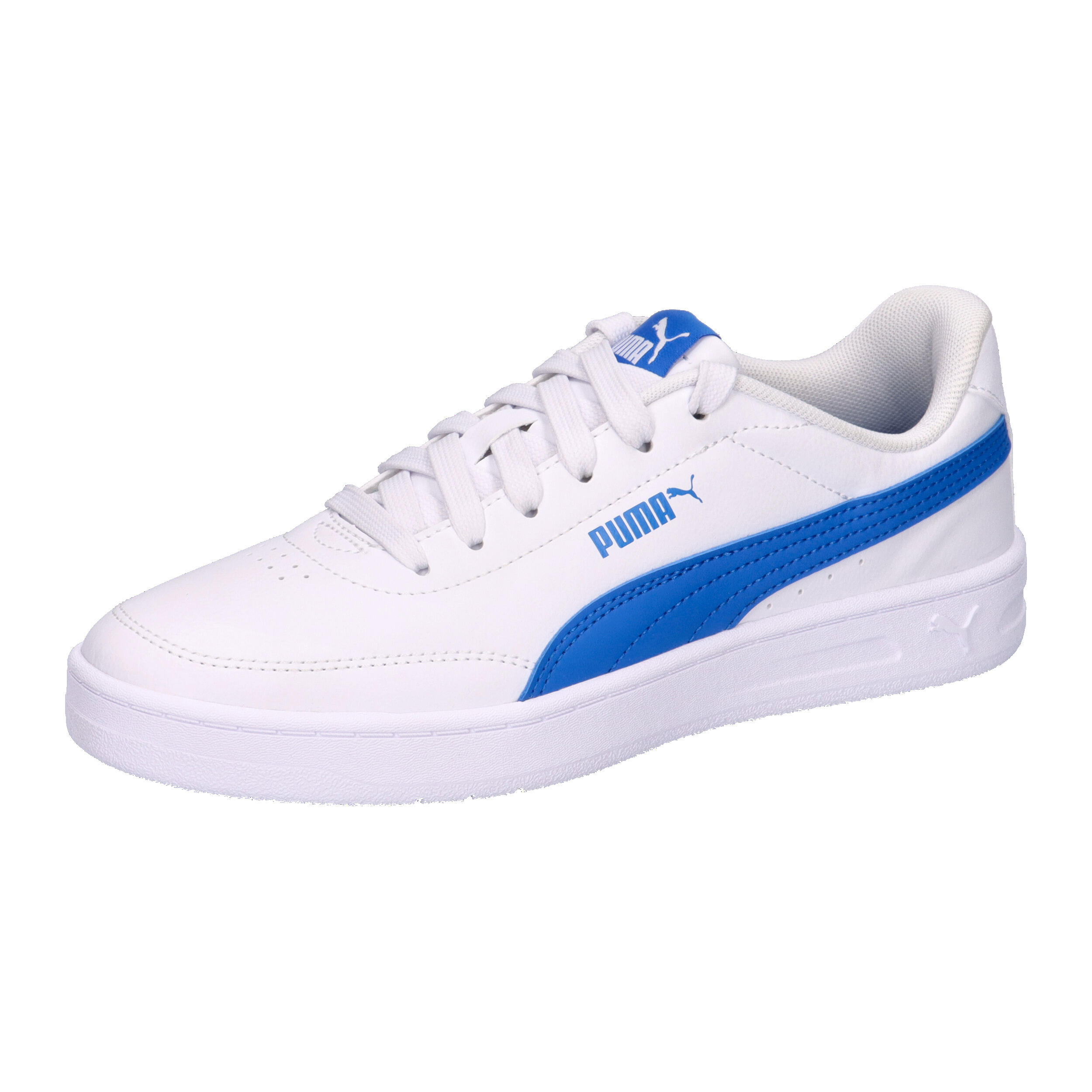 PUMA picture