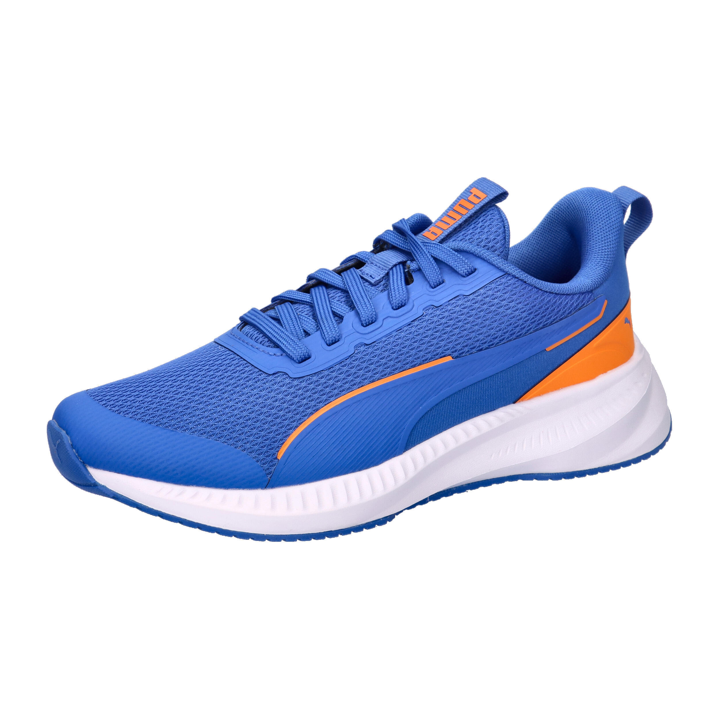 PUMA picture