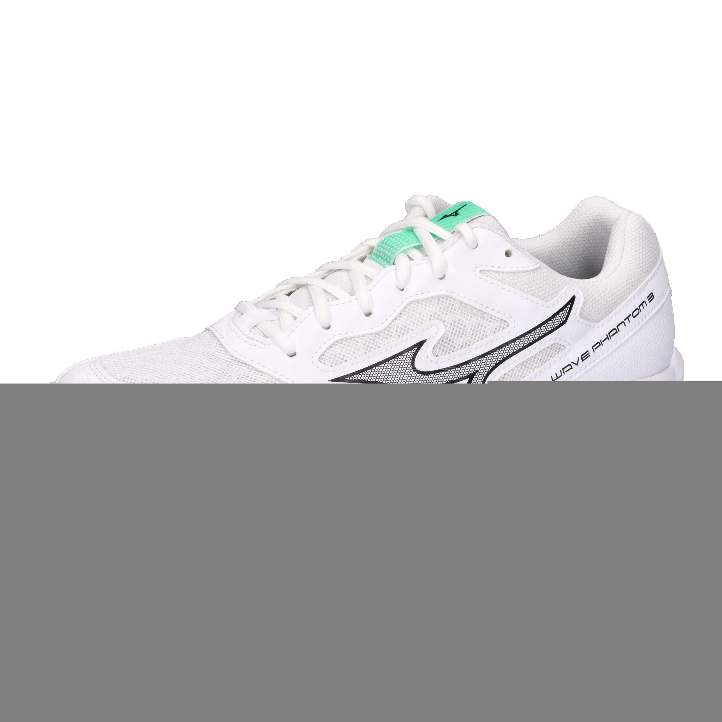 MIZUNO picture