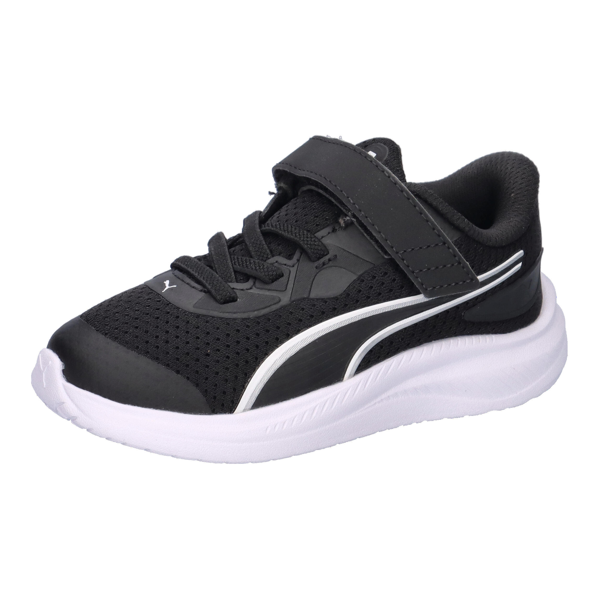 PUMA picture