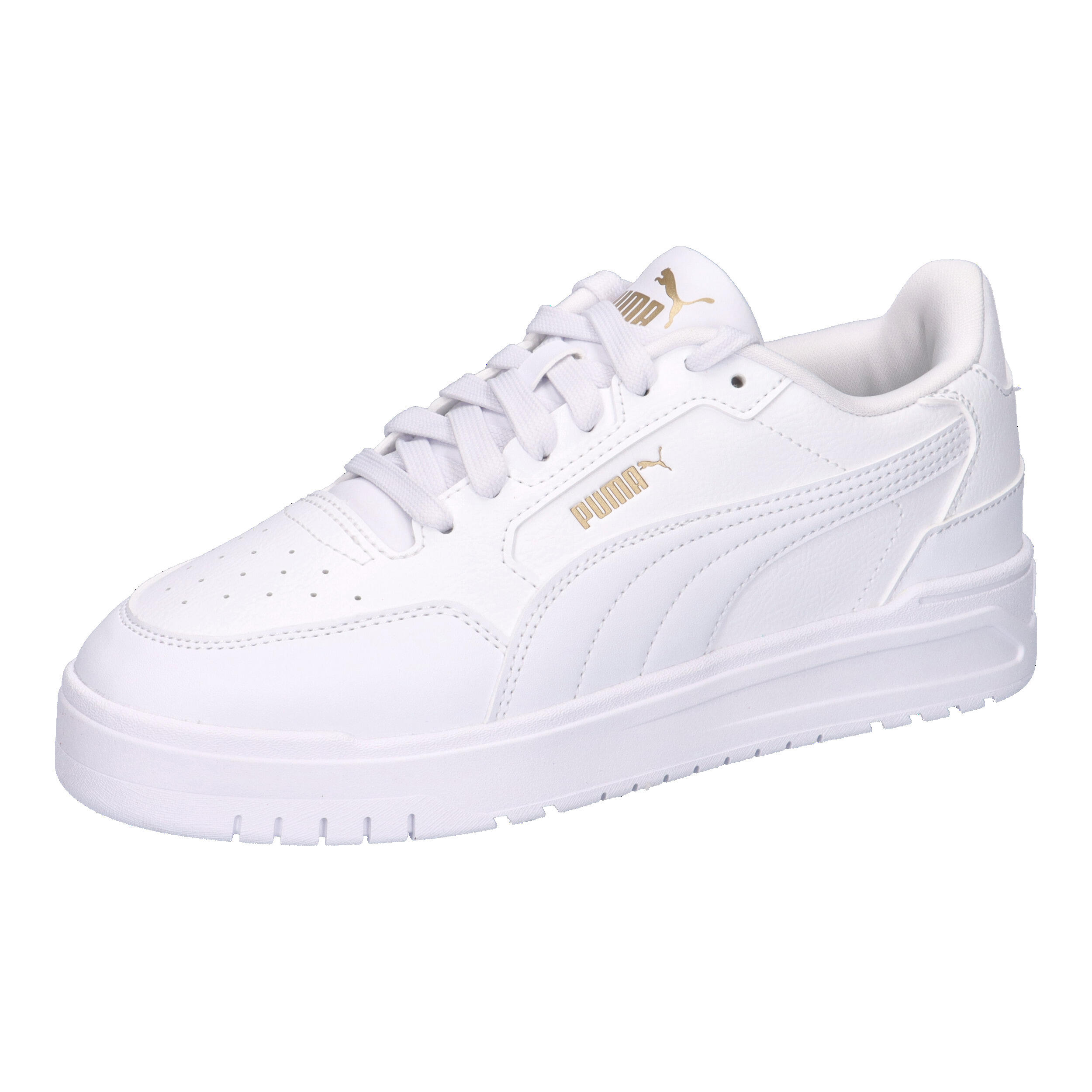PUMA picture