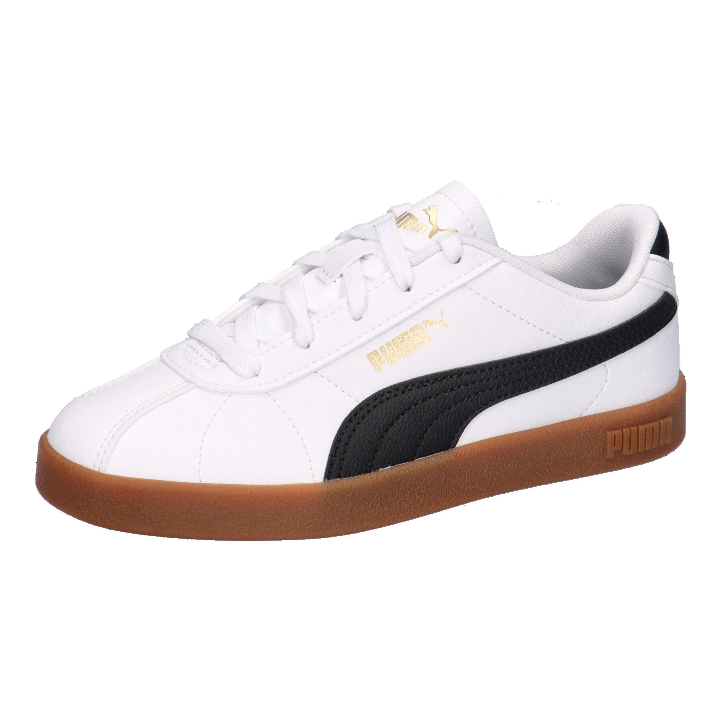 PUMA picture