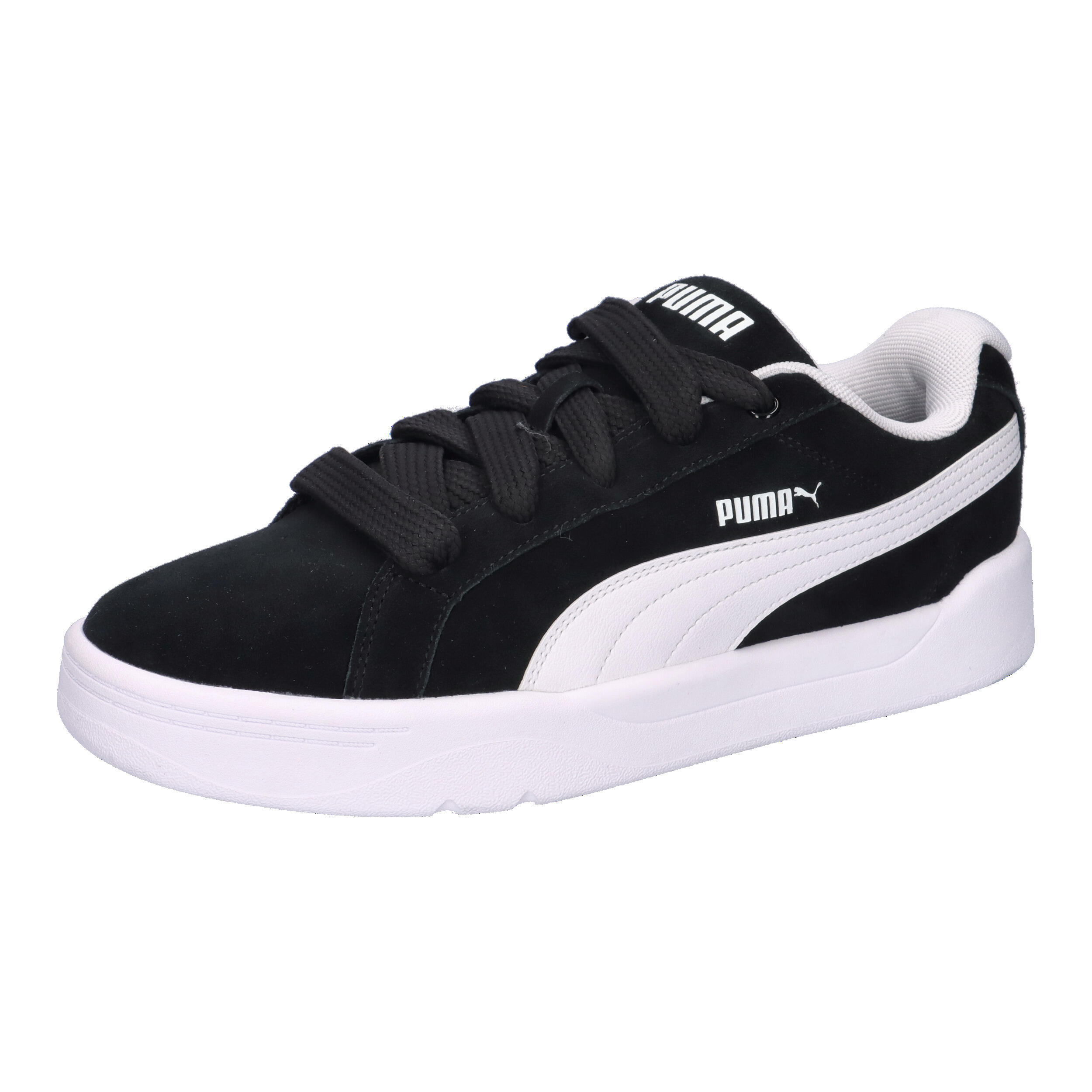 PUMA picture