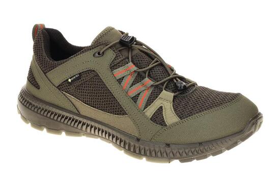 Ecco TerraCruise Schuhe grün tarmac Herren GORE-TEX