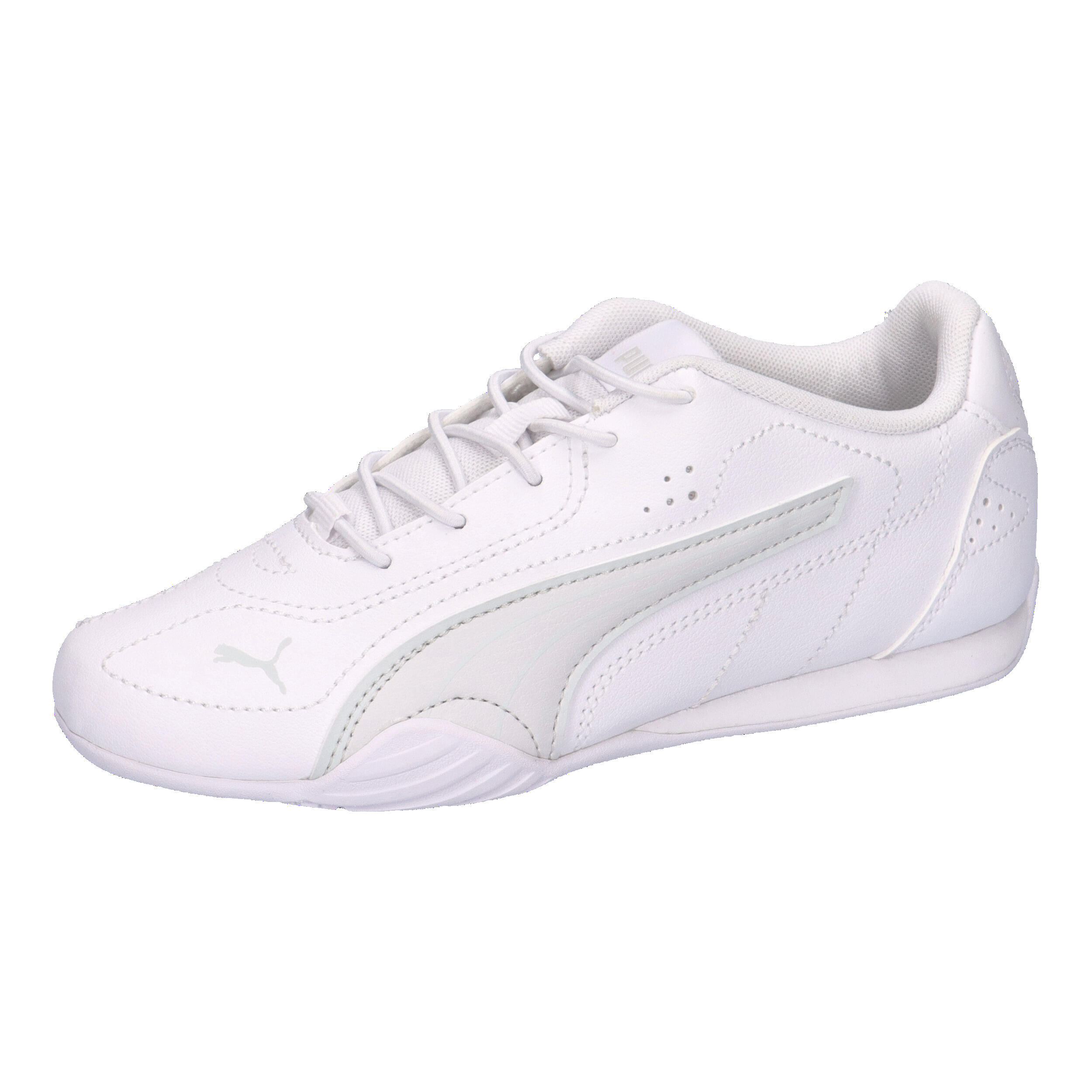 PUMA picture