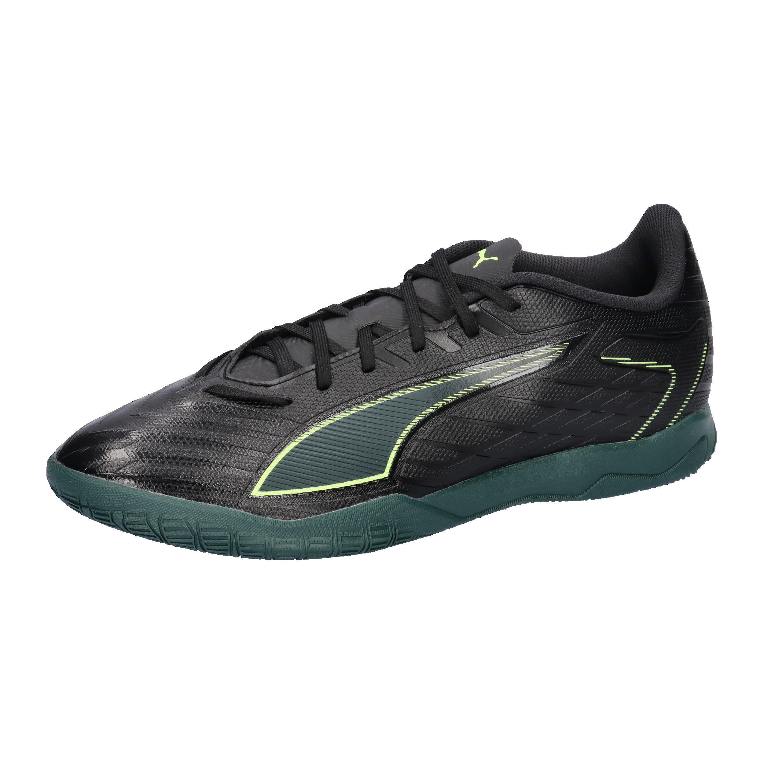 PUMA picture
