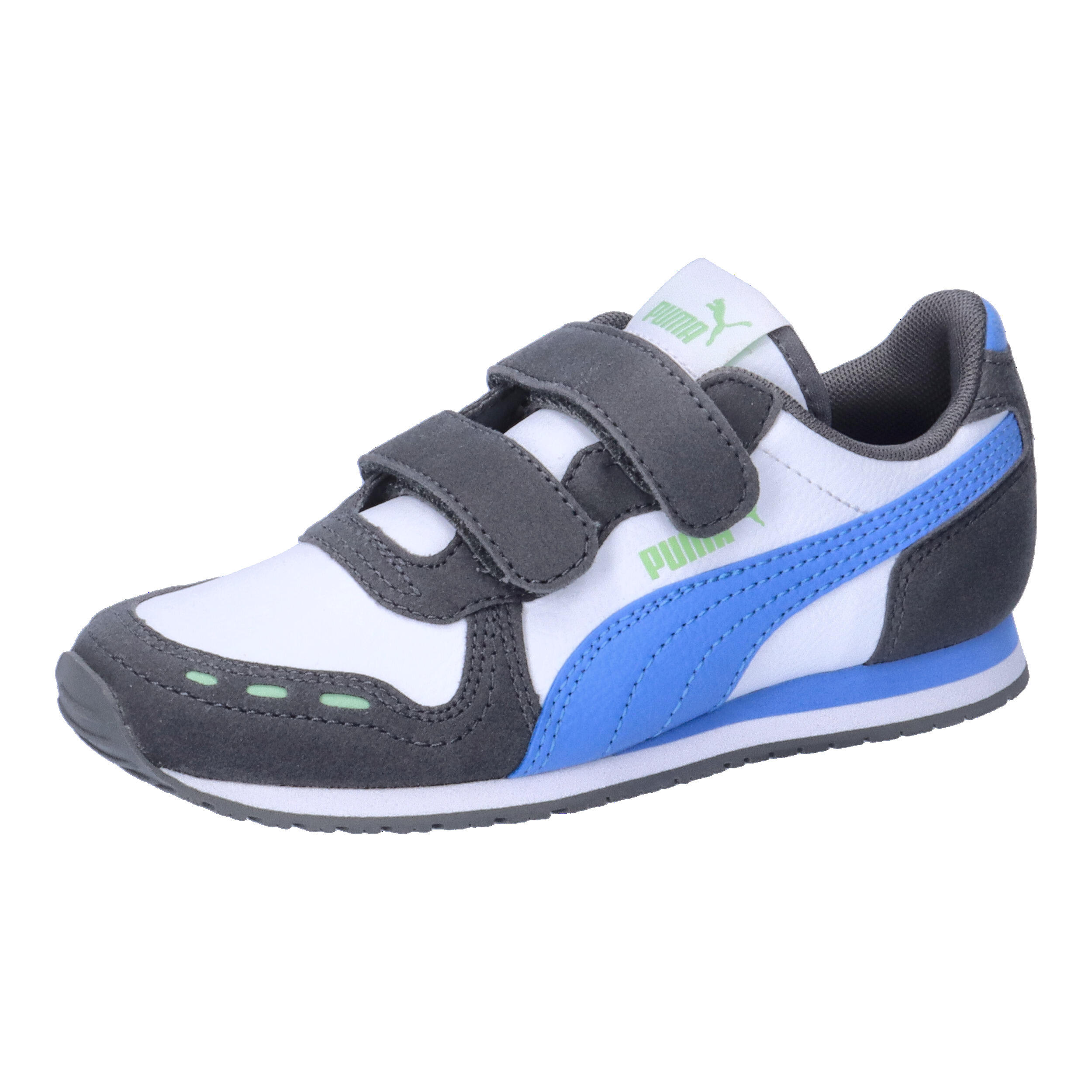PUMA picture