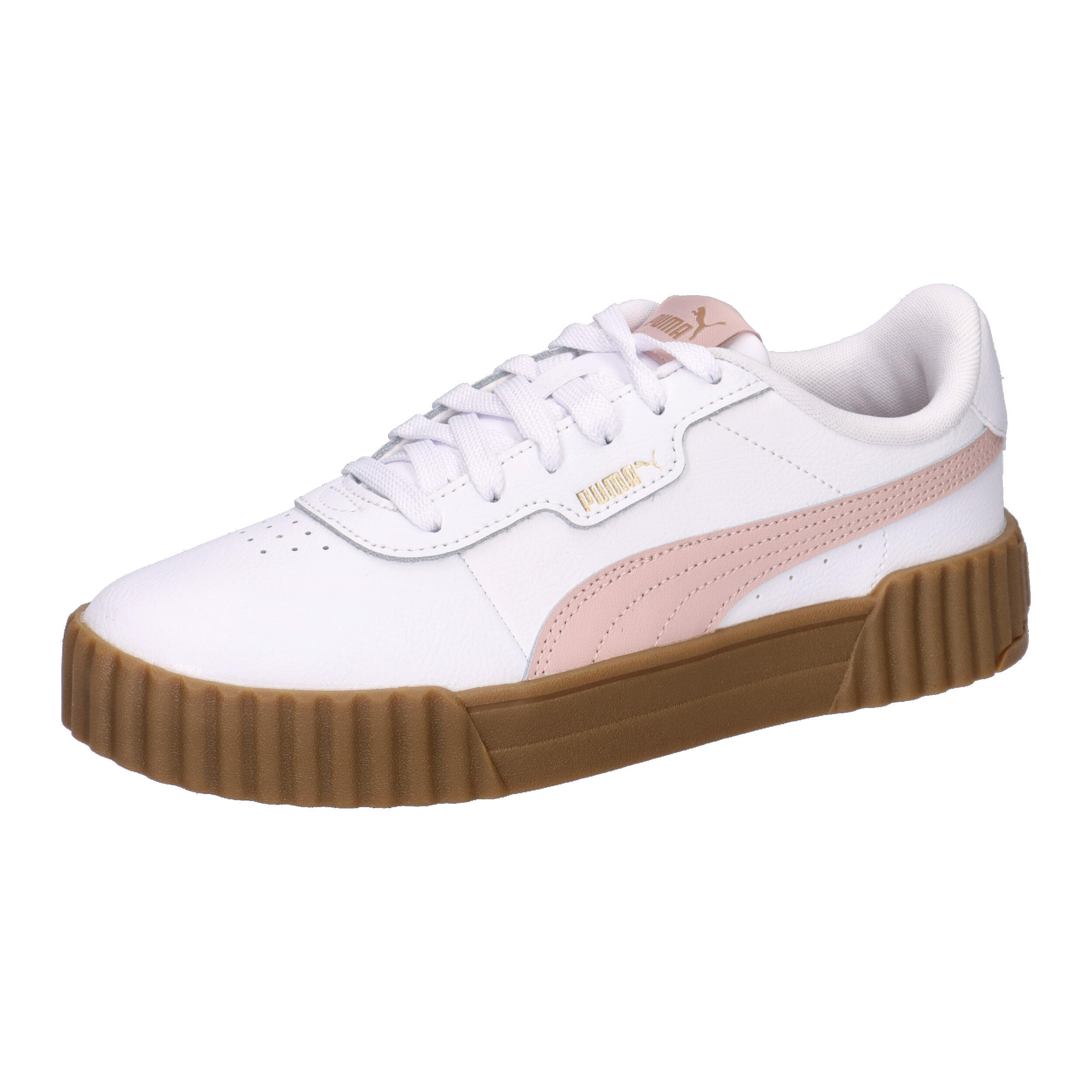 PUMA picture