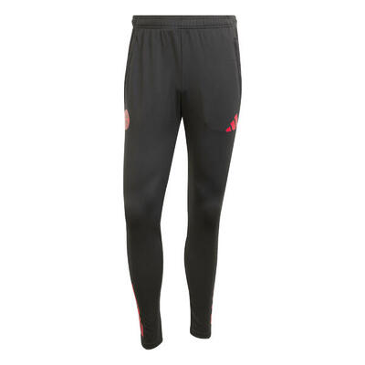 adidas Herren FC Bayern München Trainingshose 2025/26 EU TR PNT