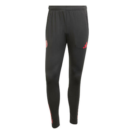 adidas Herren FC Bayern München Trainingshose 2025/26 EU TR PNT