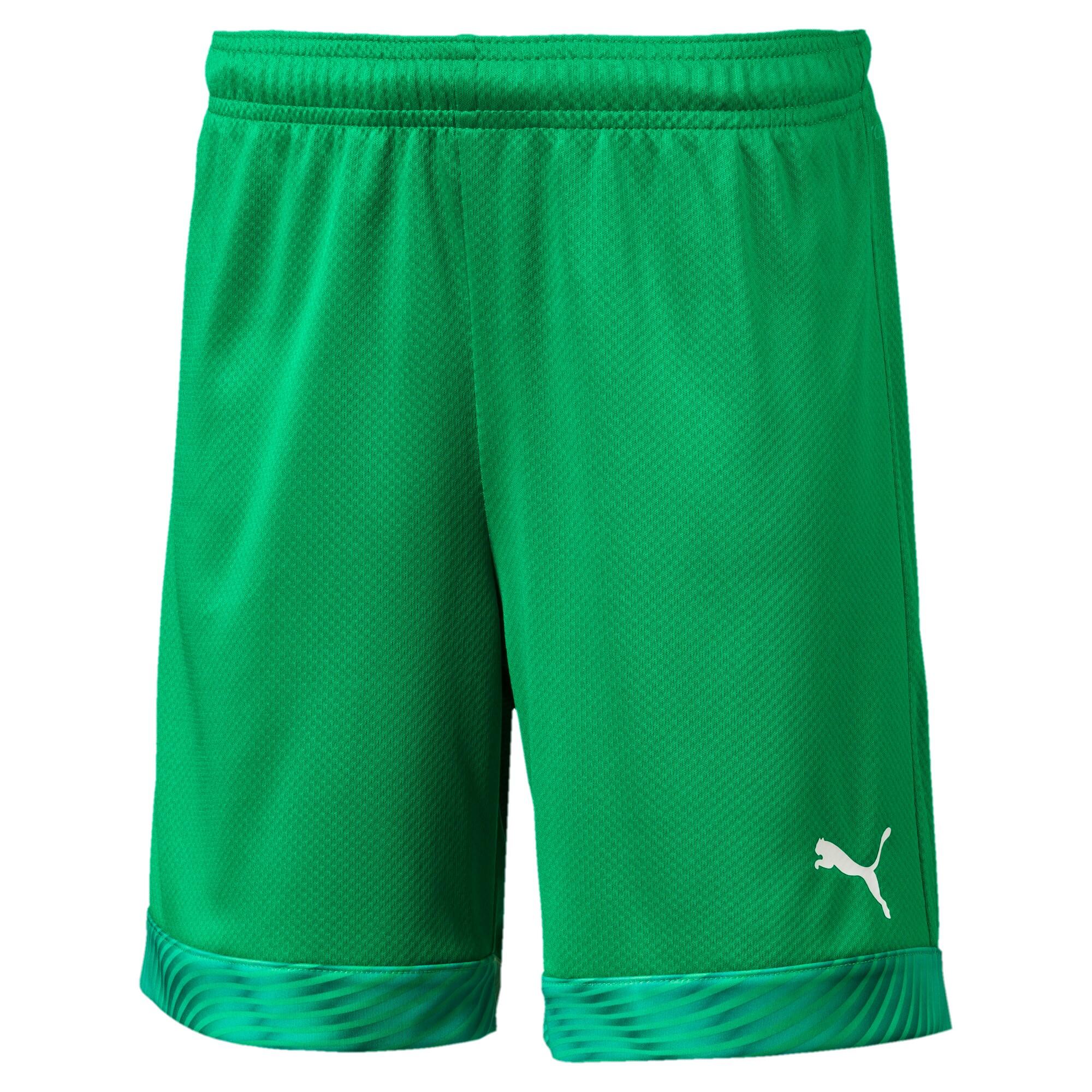 PUMA picture