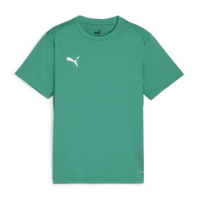 Puma teamgoal jersey kindert-shirt