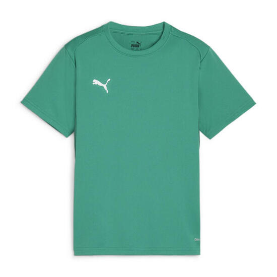 Maillot pour enfants Puma TeamGoal Jersey