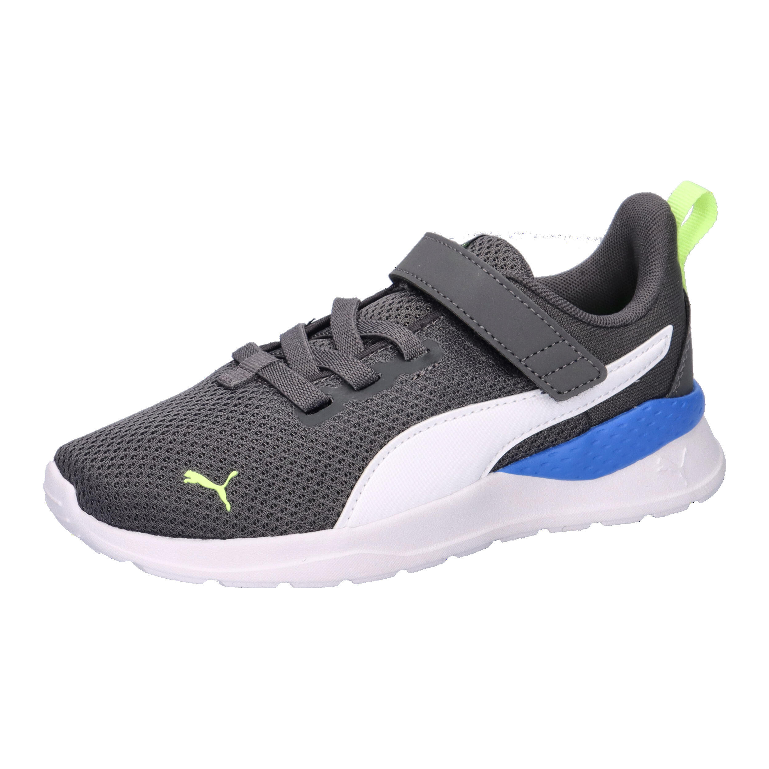PUMA picture