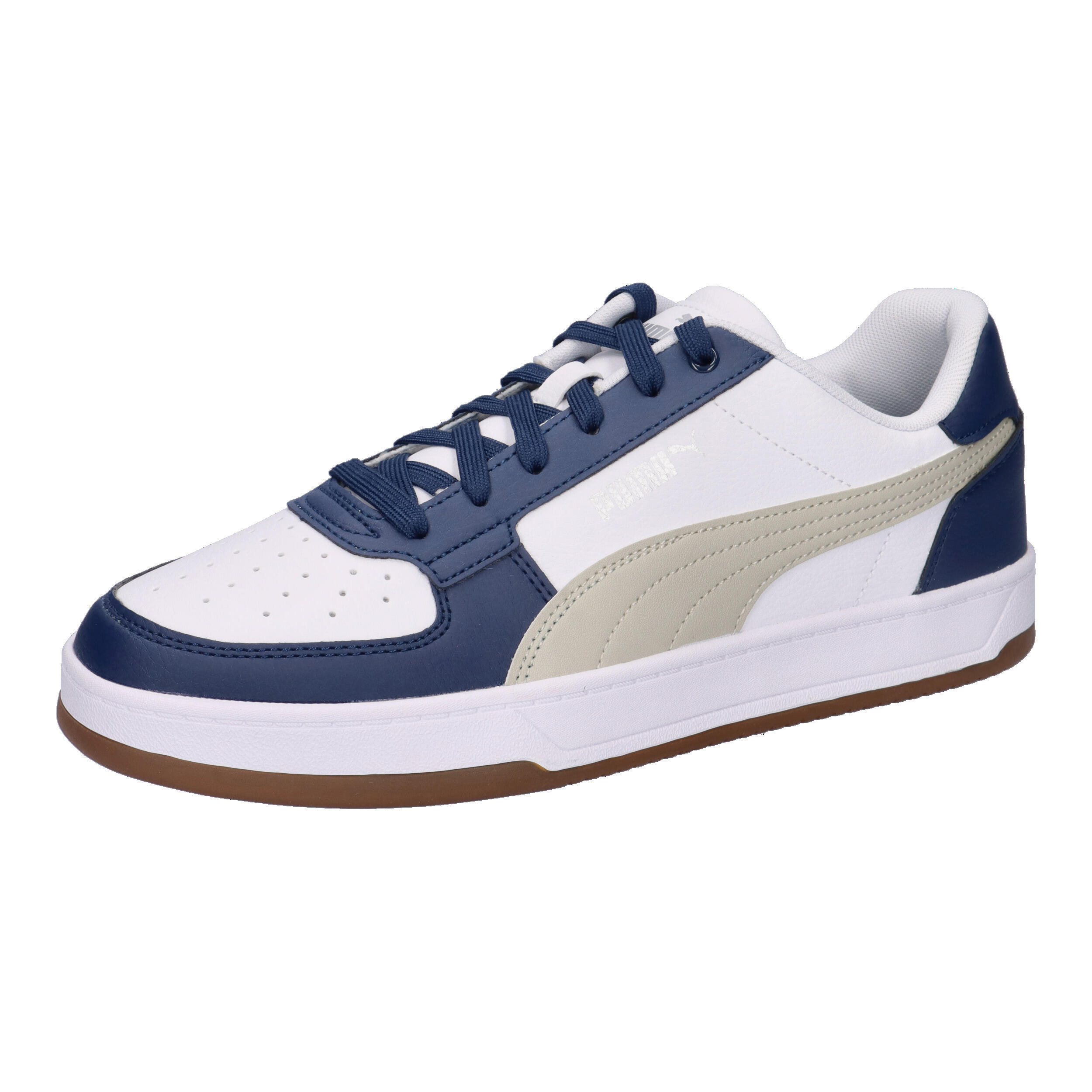 PUMA picture