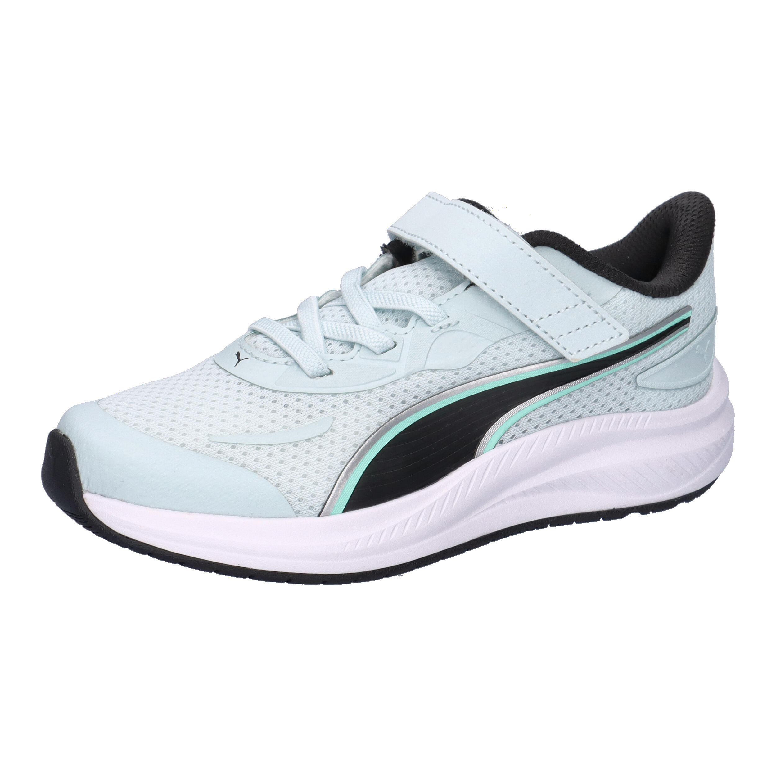 PUMA picture