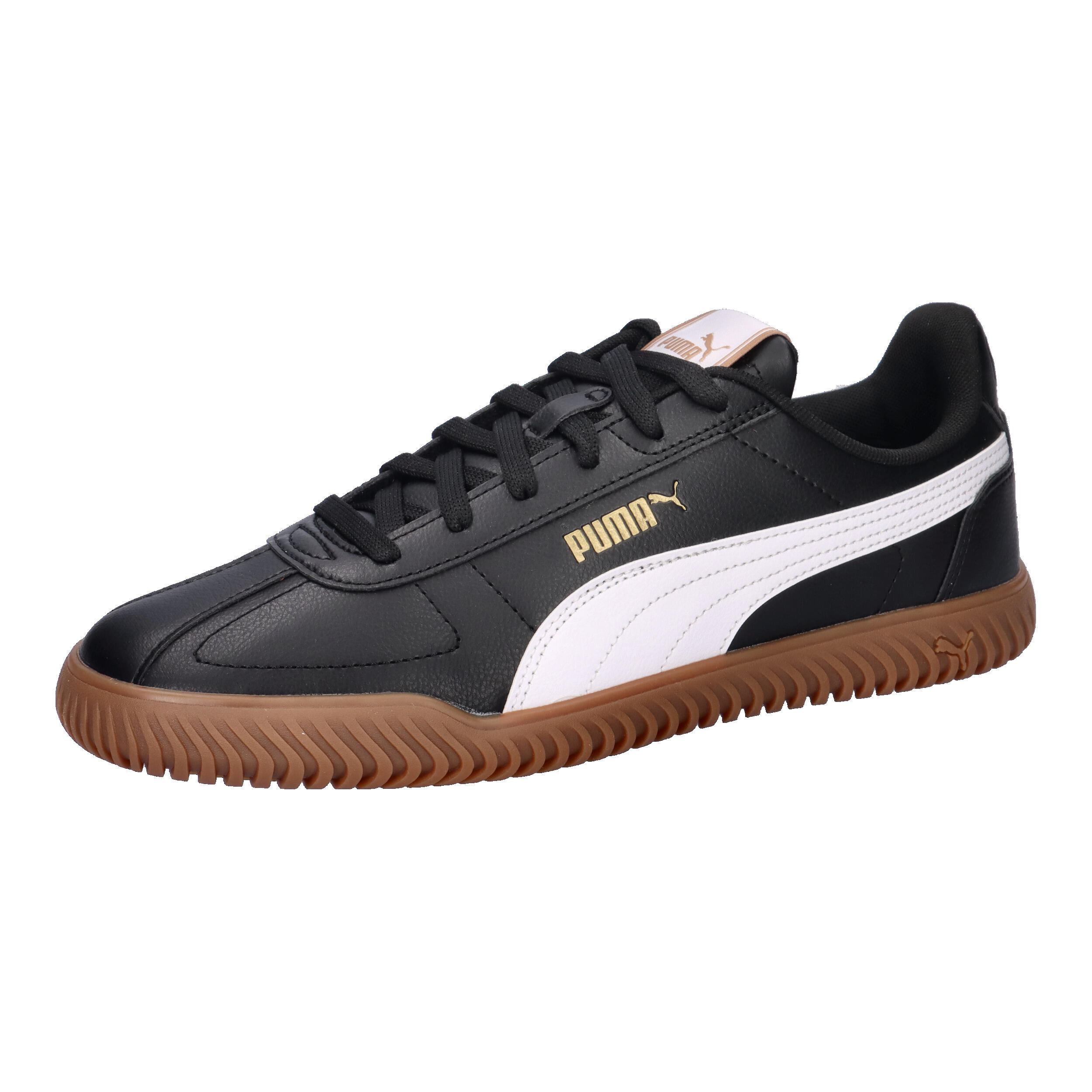 PUMA picture