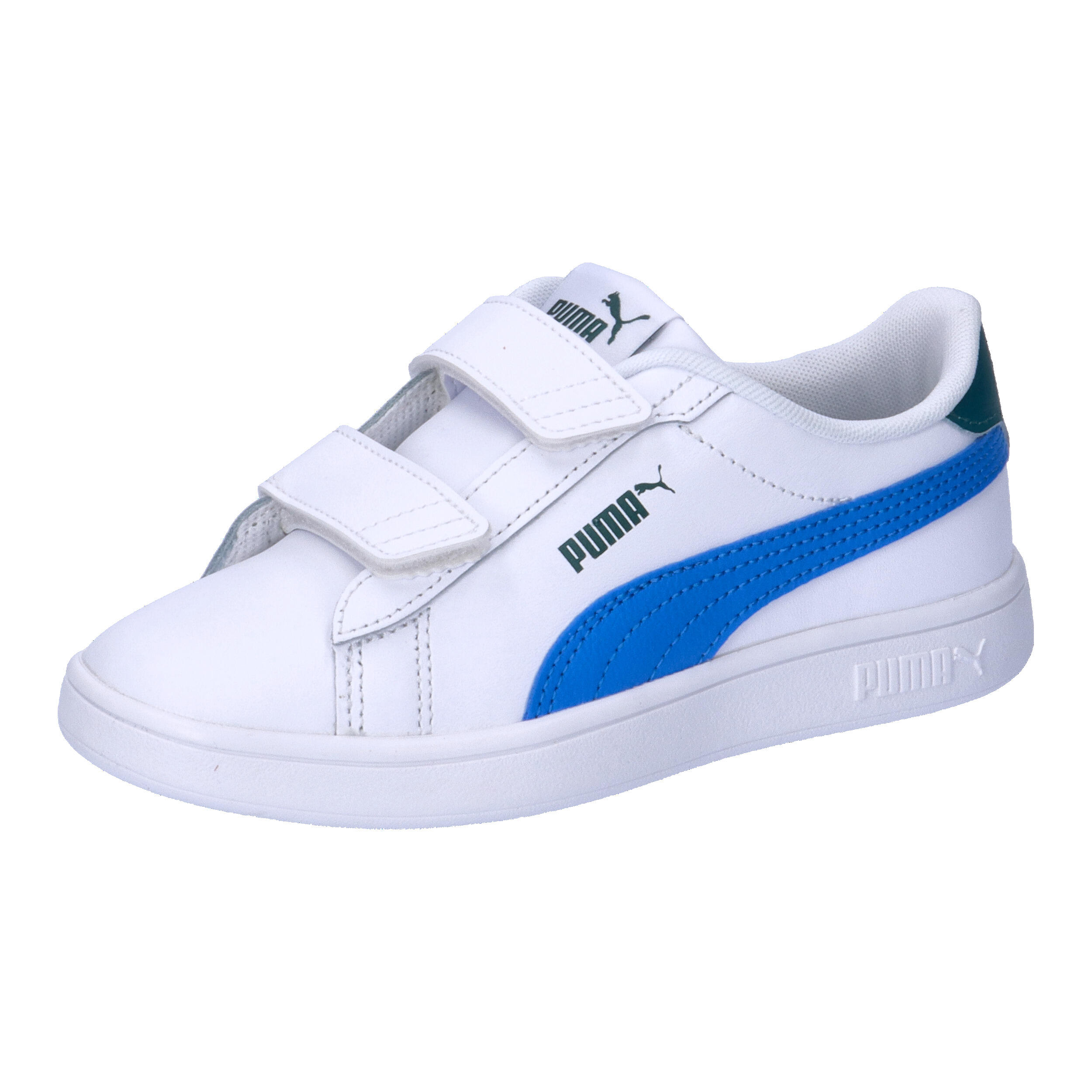 PUMA picture