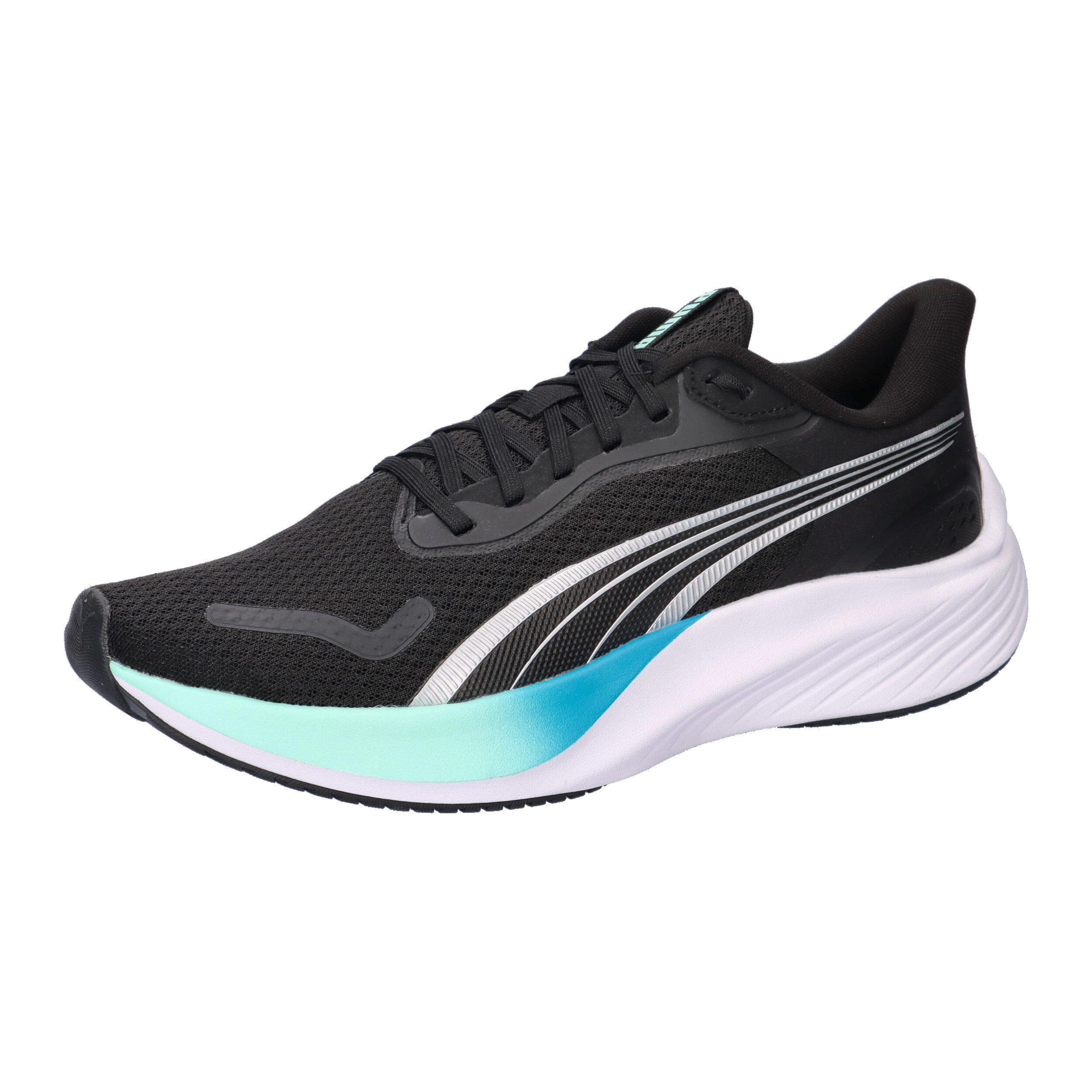 PUMA picture