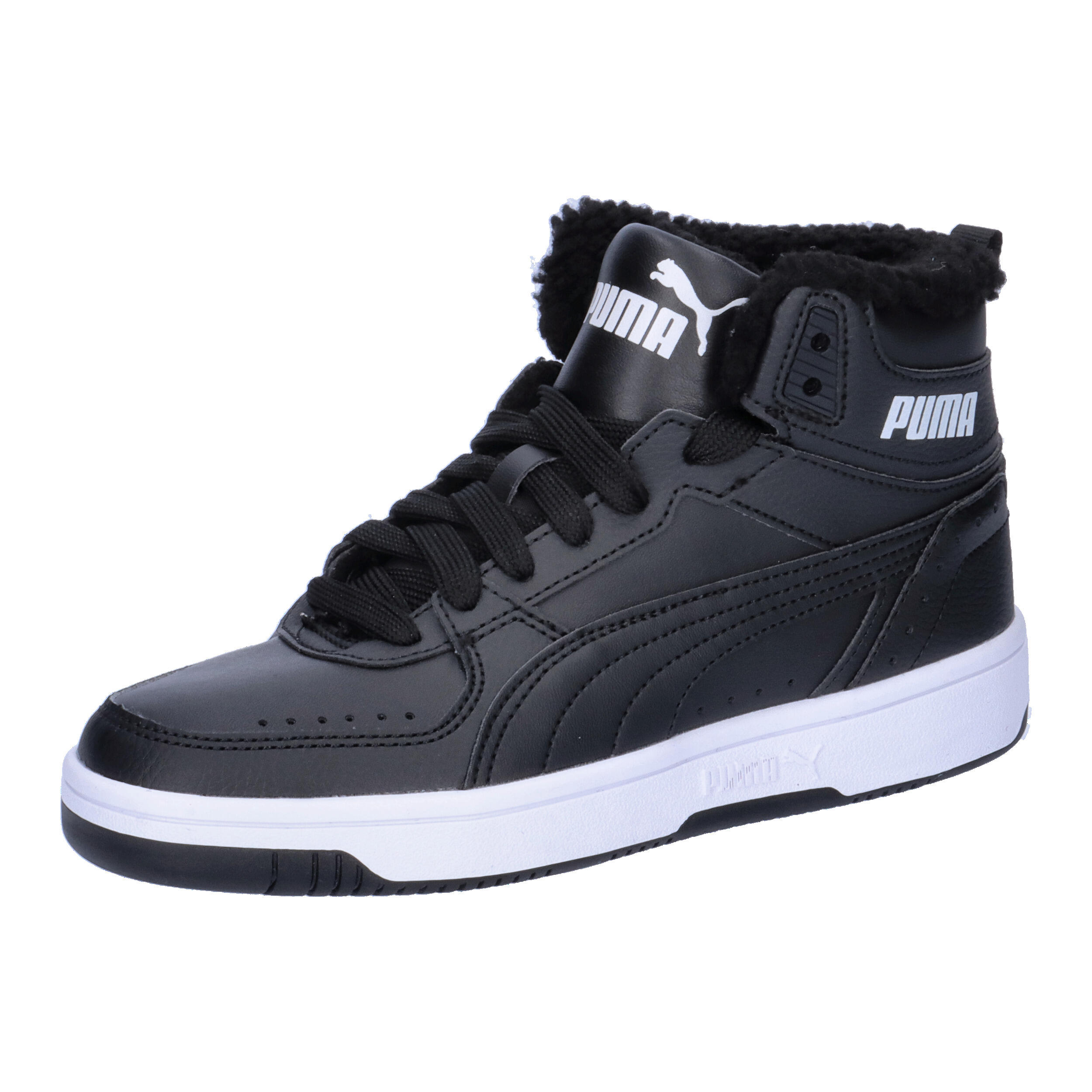 PUMA picture