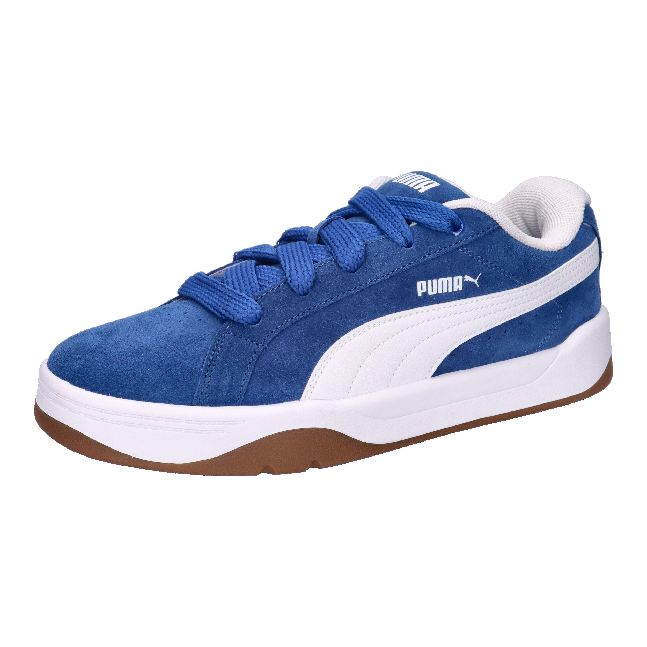 PUMA picture