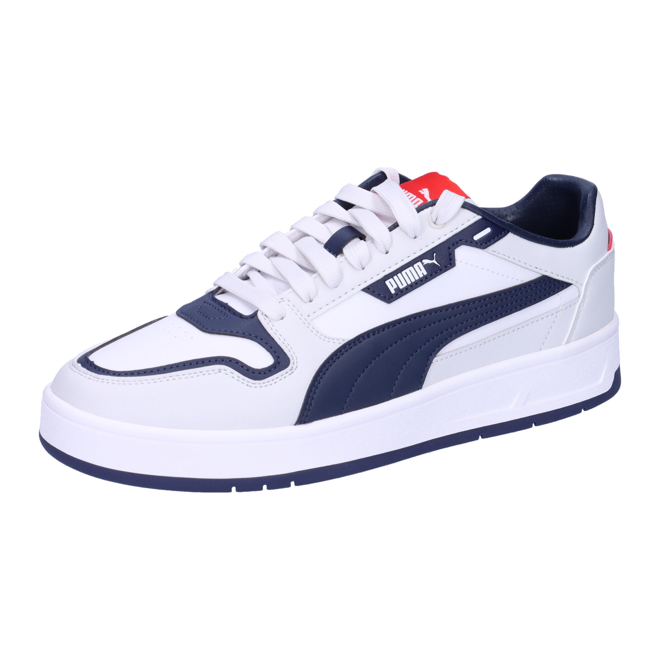 PUMA picture