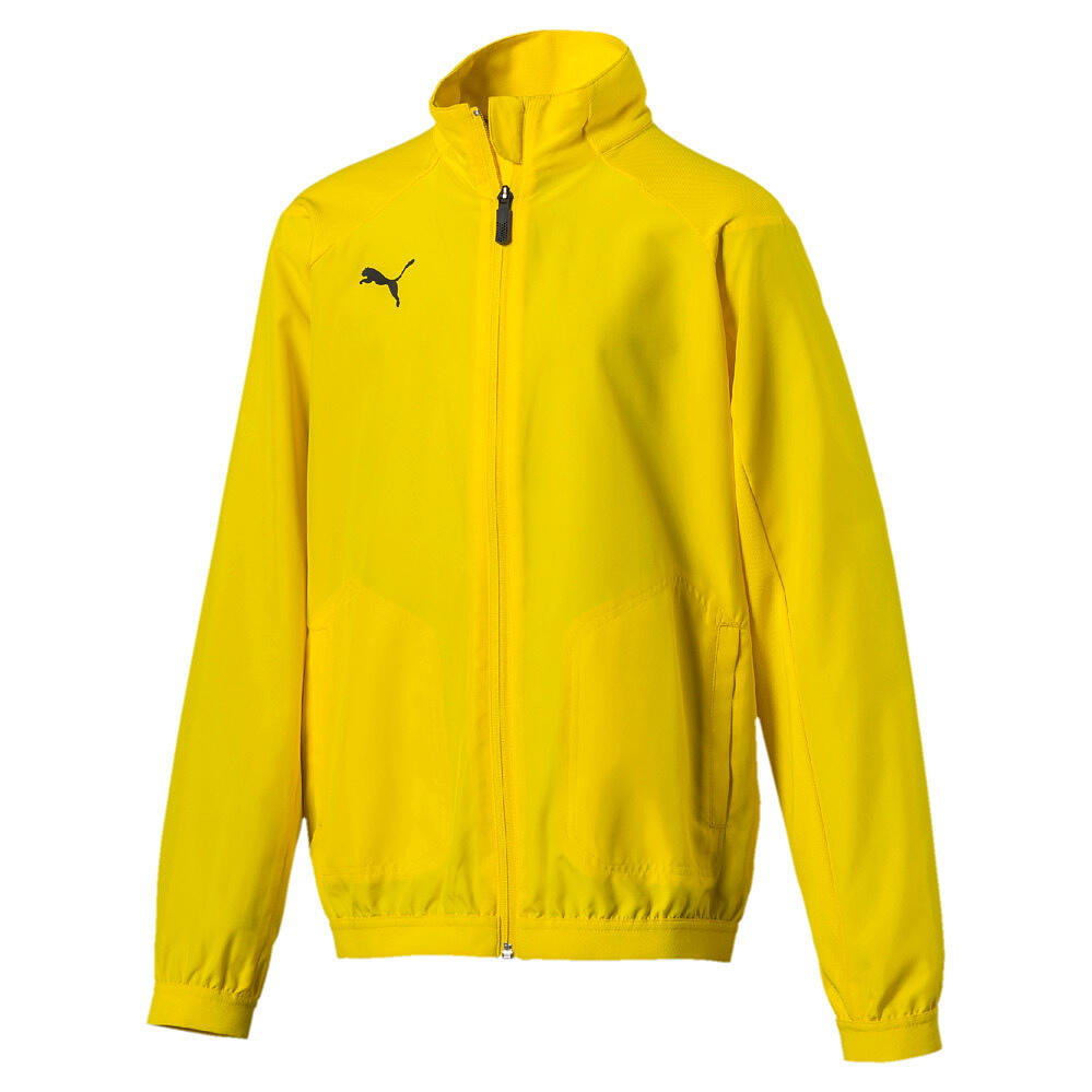 PUMA picture