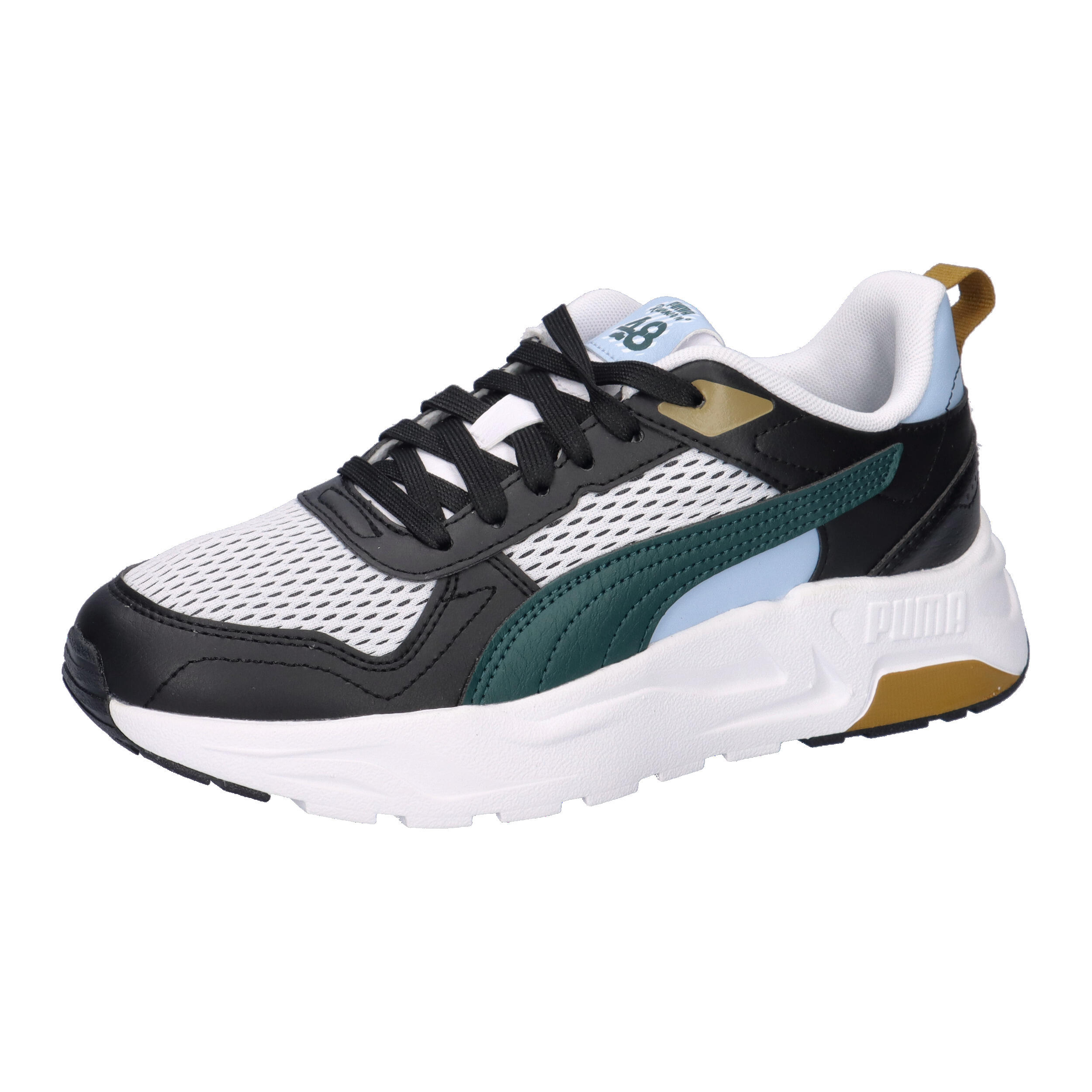 PUMA picture