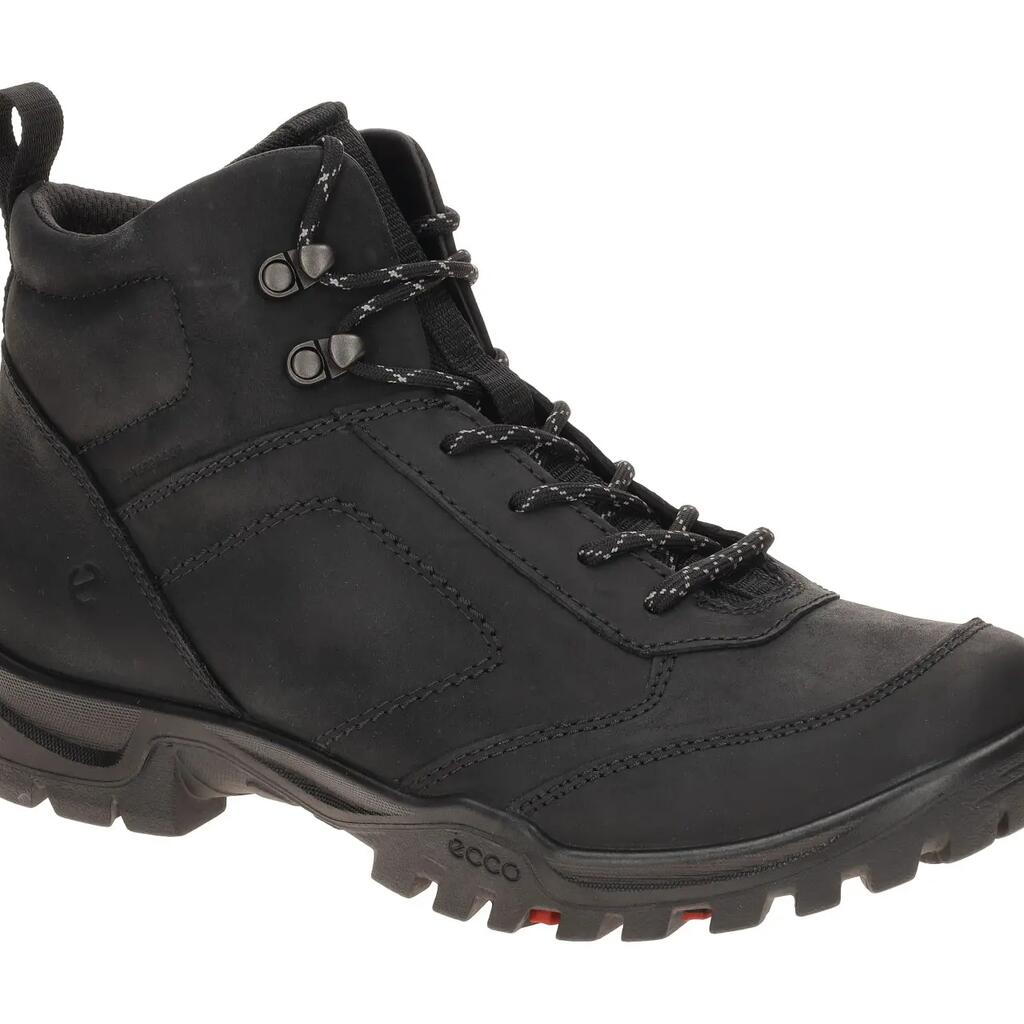 Hiking shoes Ecco Xpedition III