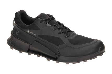 Wanderschuhe Ecco Biom 2.1 X Mountain