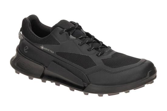 Wanderschuhe Ecco Biom 2.1 X Mountain