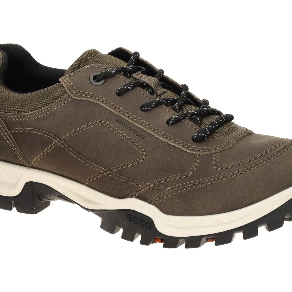 Hiking shoes Ecco Xpedition III