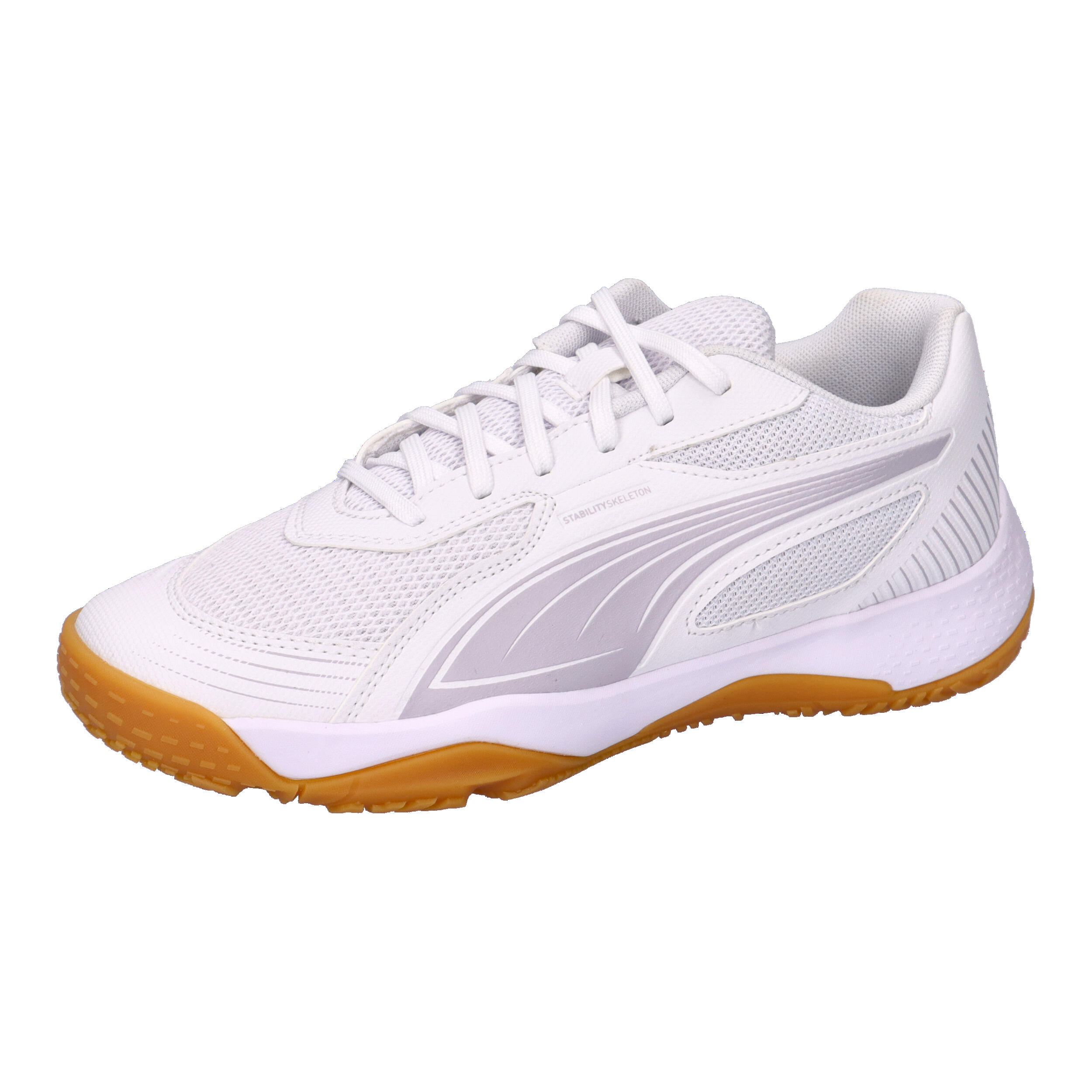 PUMA picture