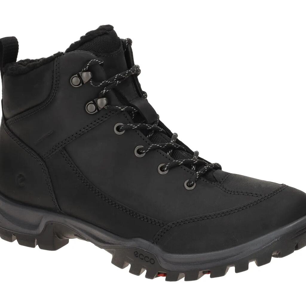 Hiking shoes Ecco Xpedition III WP/WL