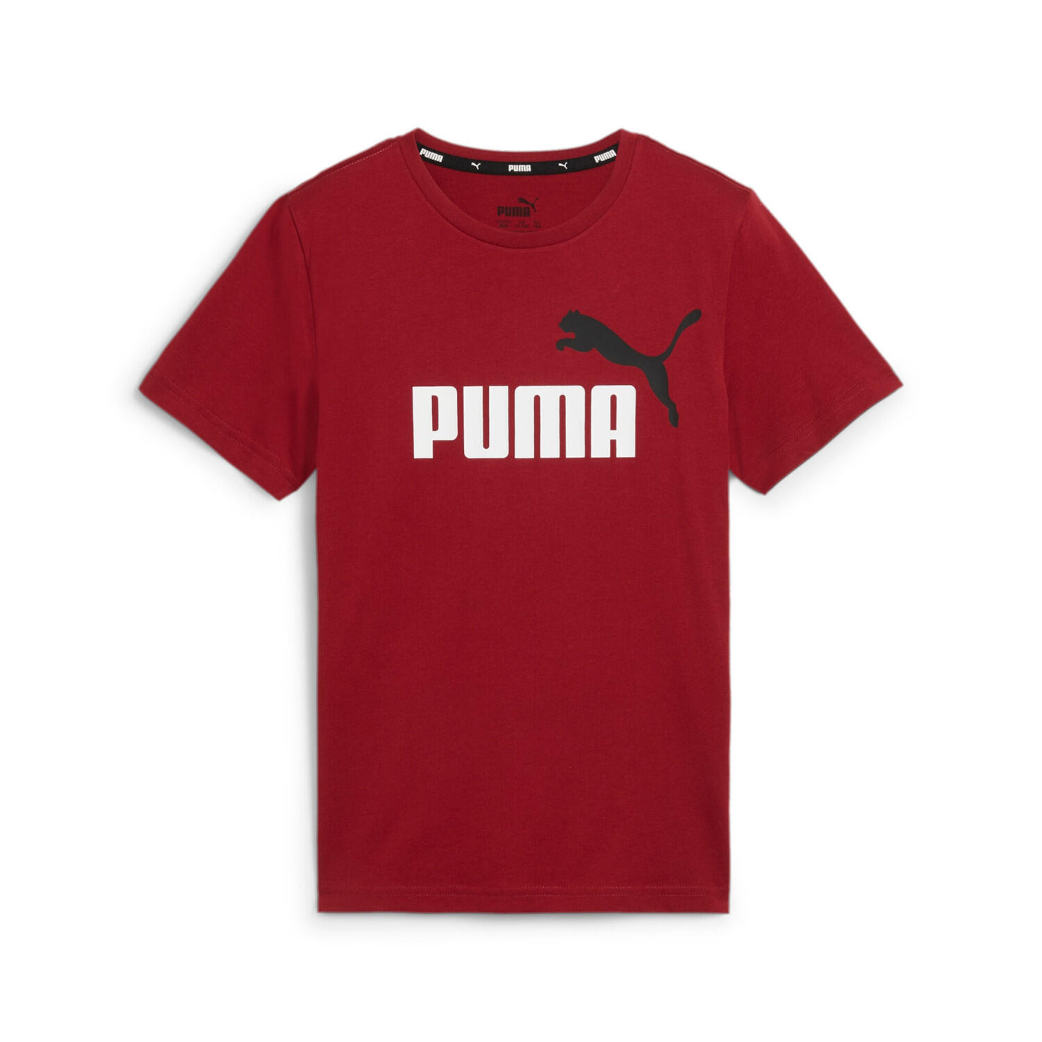 PUMA picture