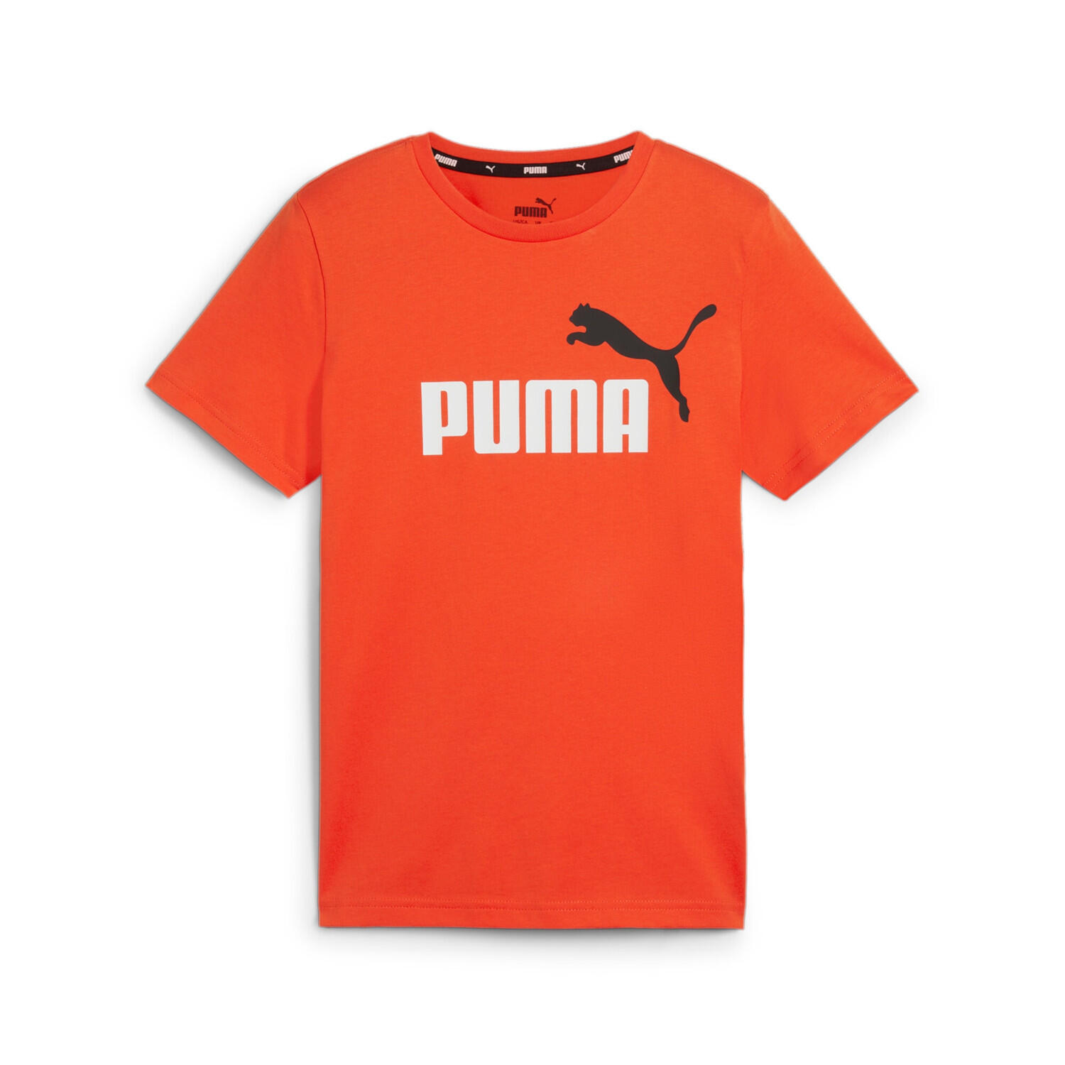 PUMA picture