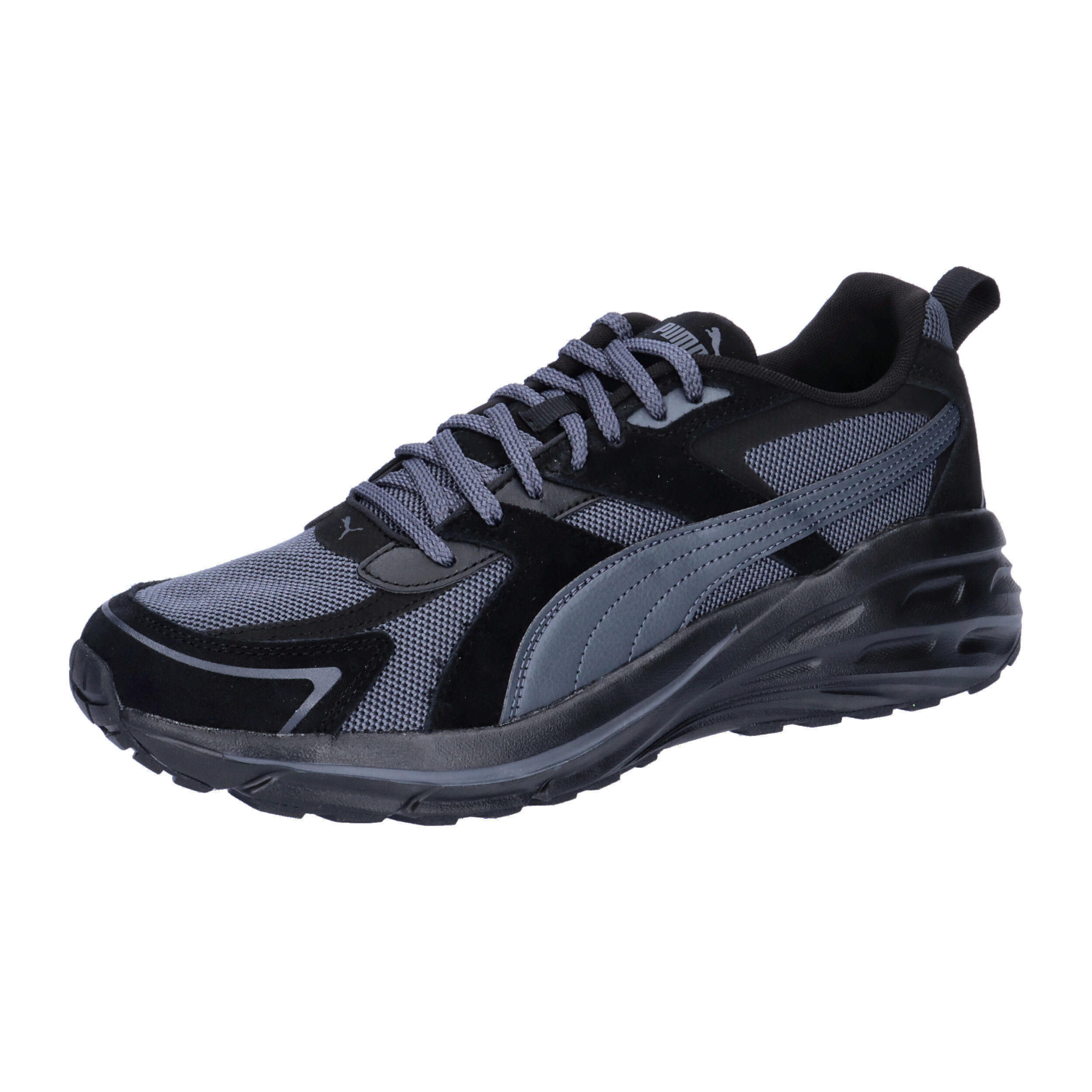 PUMA picture