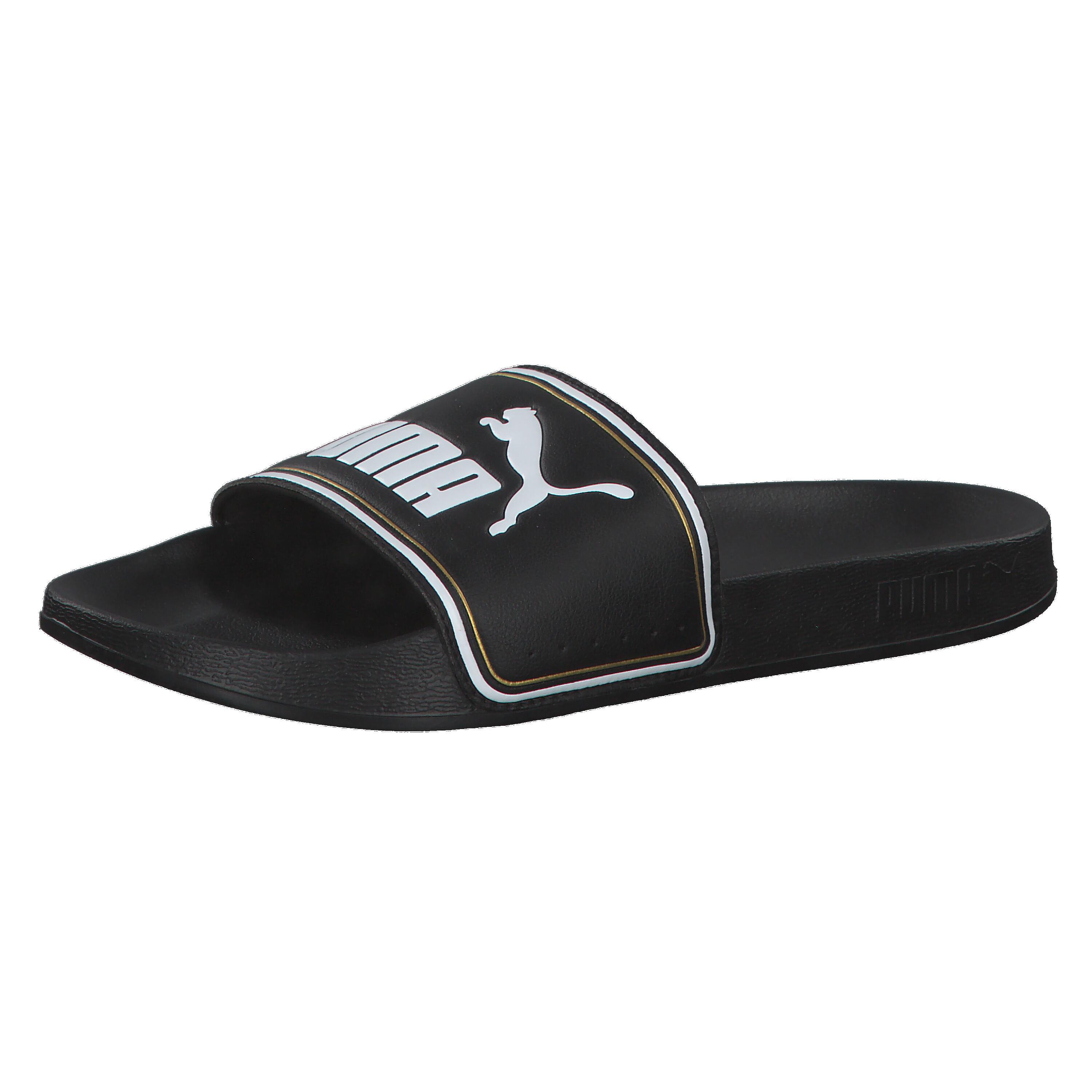 PUMA picture