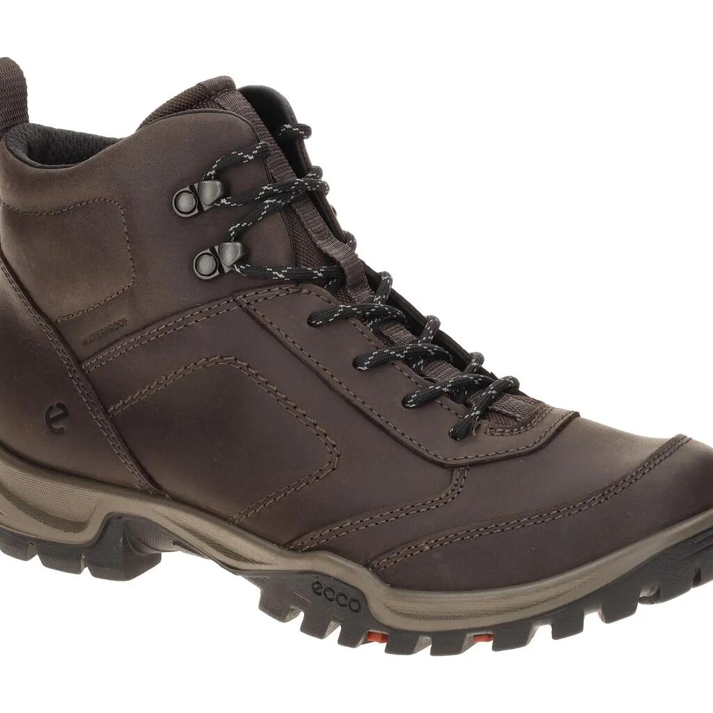 Hiking shoes Ecco Xpedition III