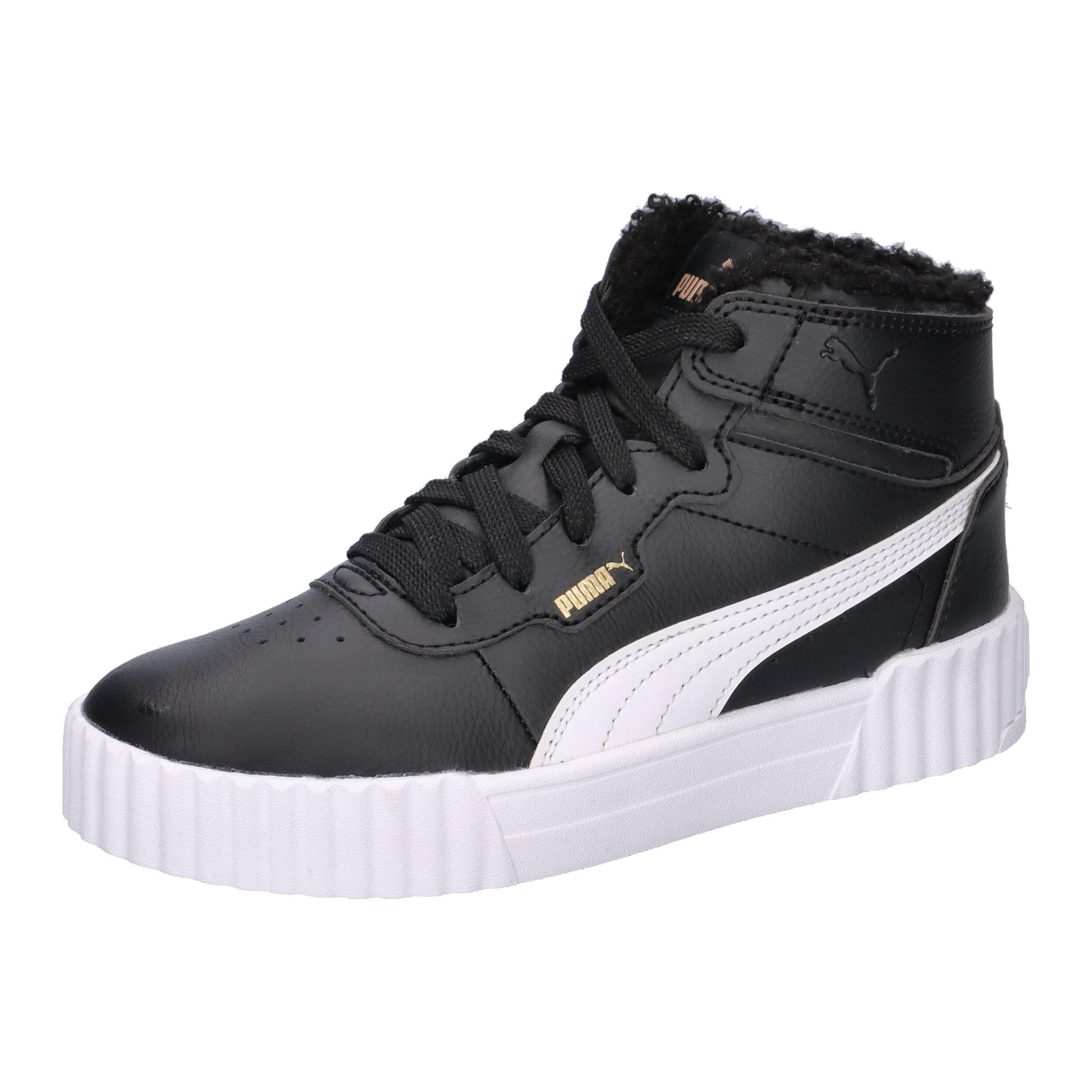 PUMA picture