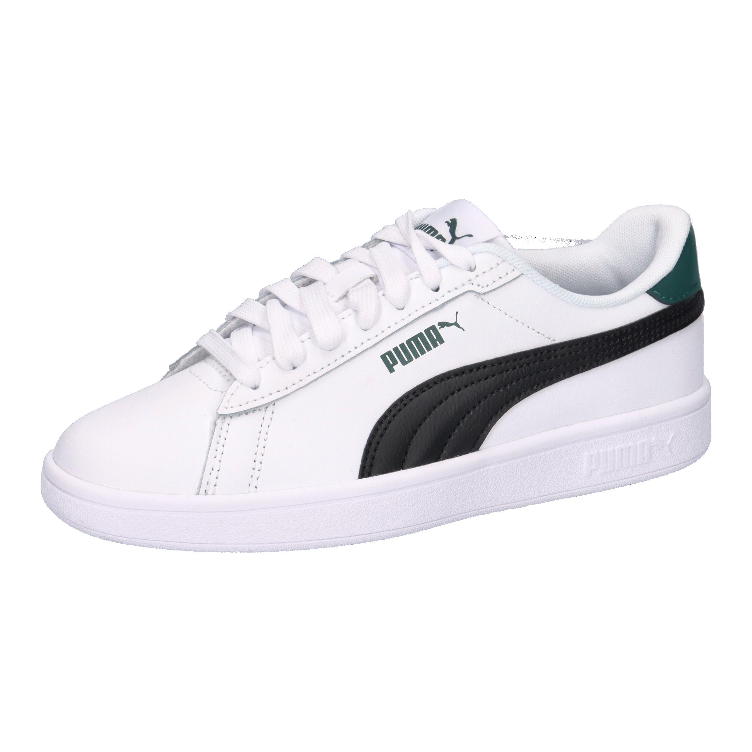PUMA picture