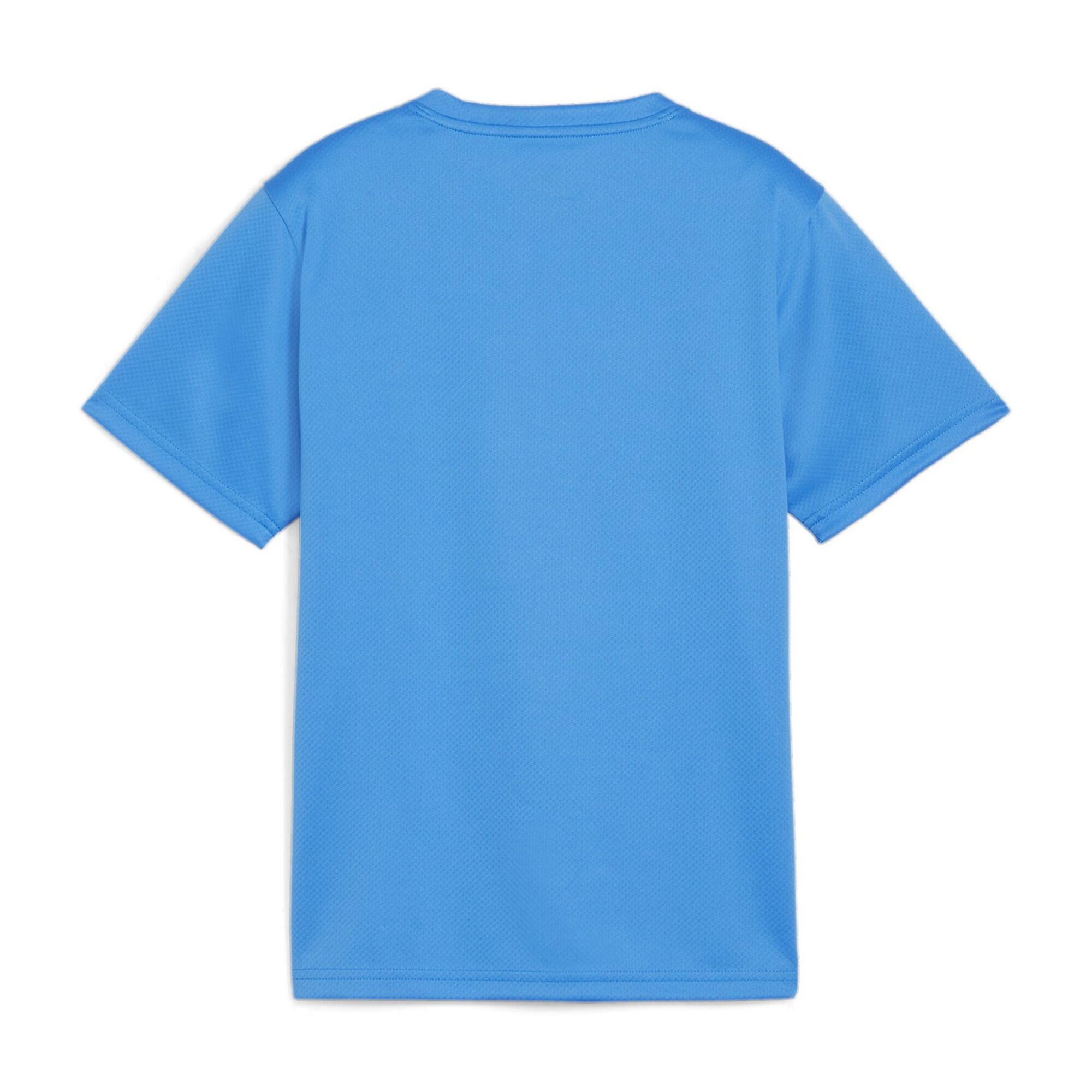Camiseta para niños Puma TeamGoal Jersey 2/2