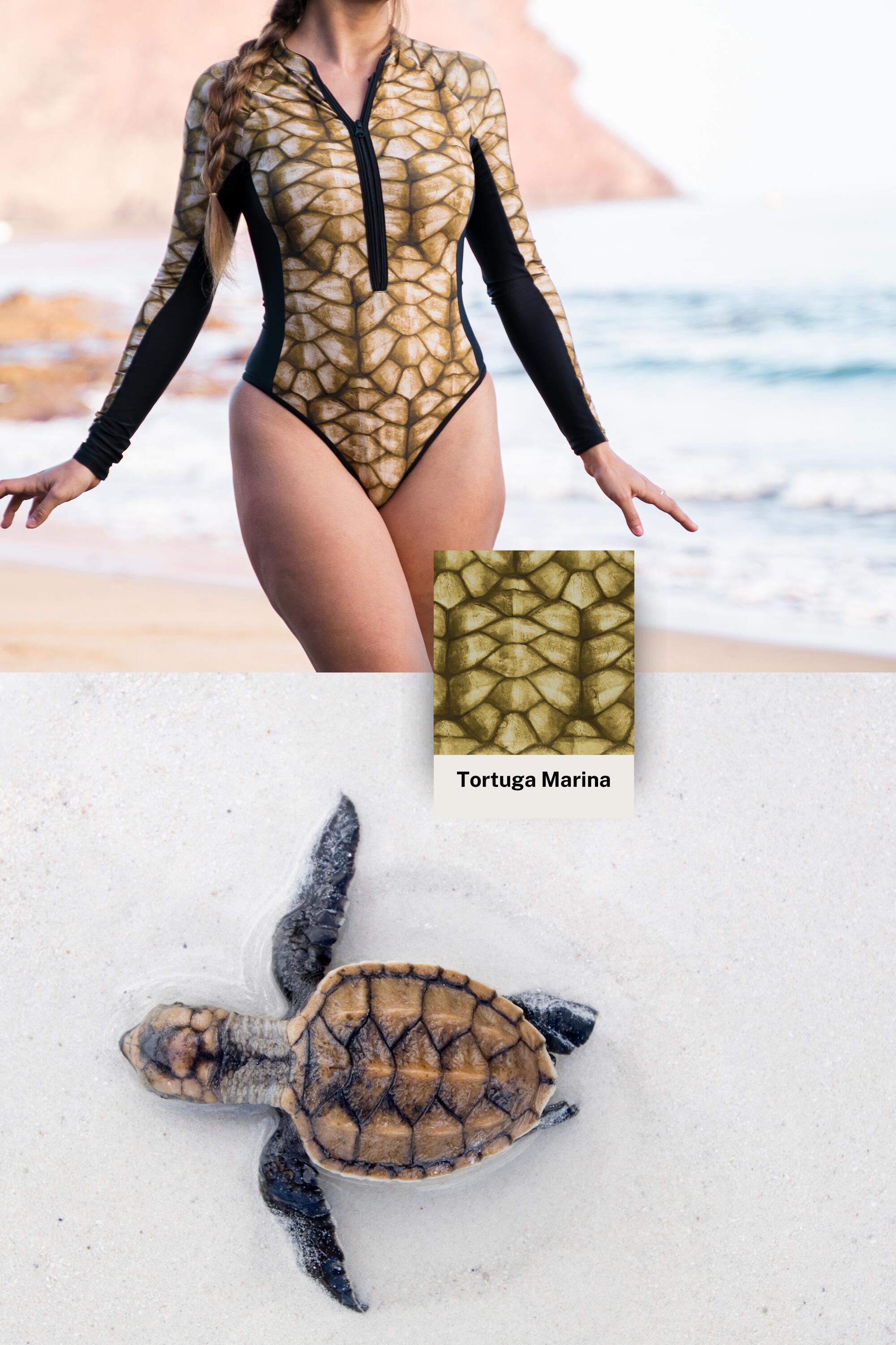 Bañador Surf Manga larga Tortuga - Tonos Verdes 2/5