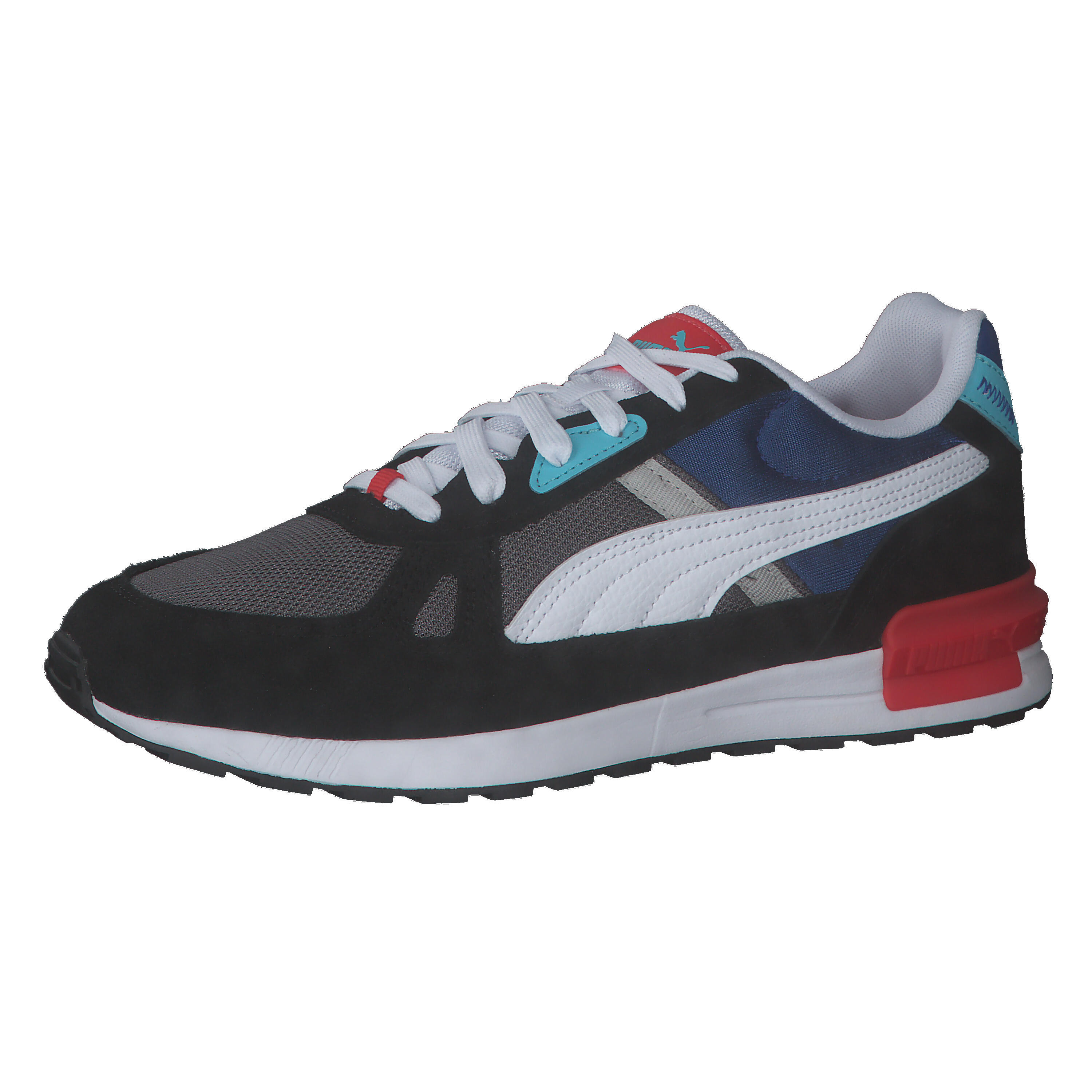 PUMA picture