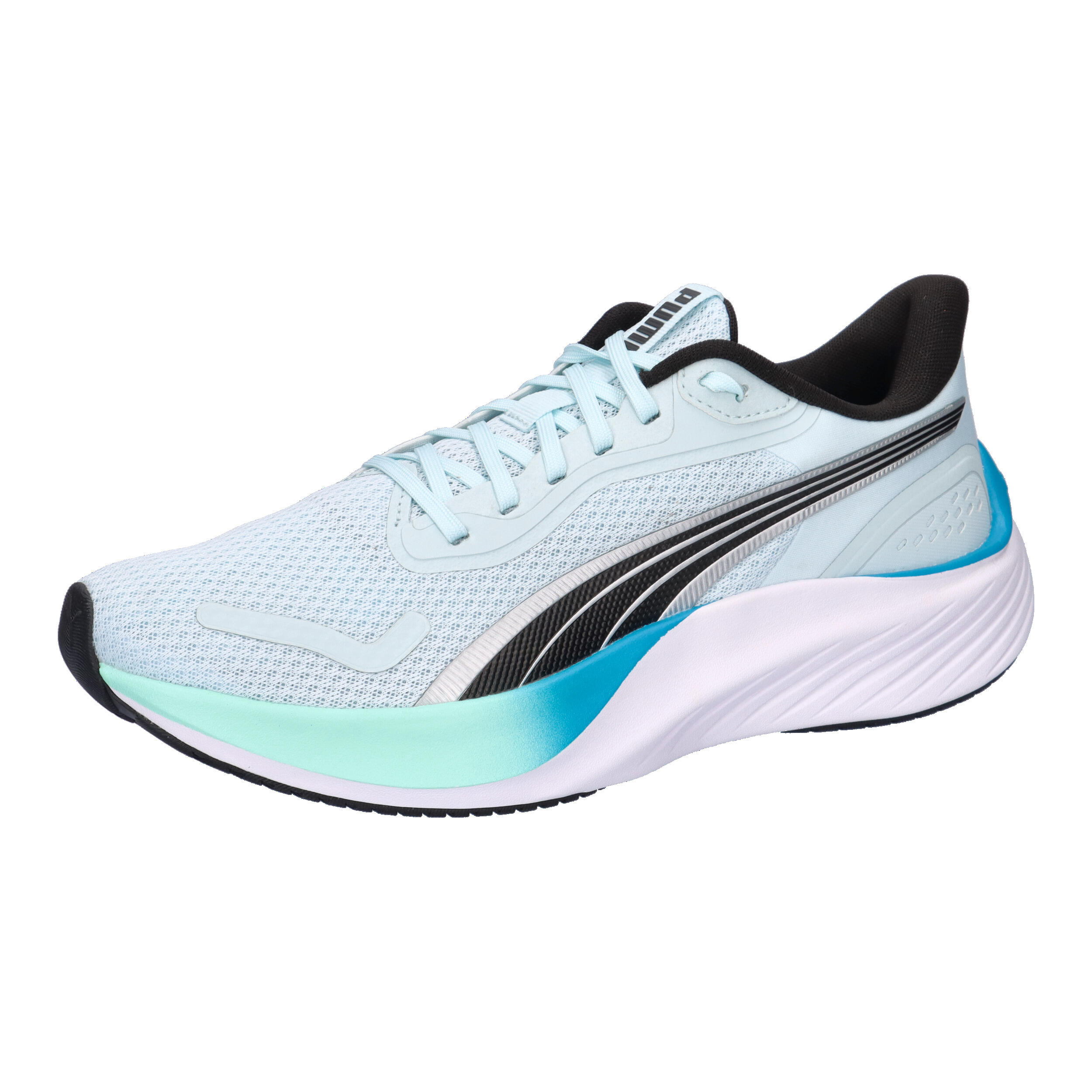 PUMA picture
