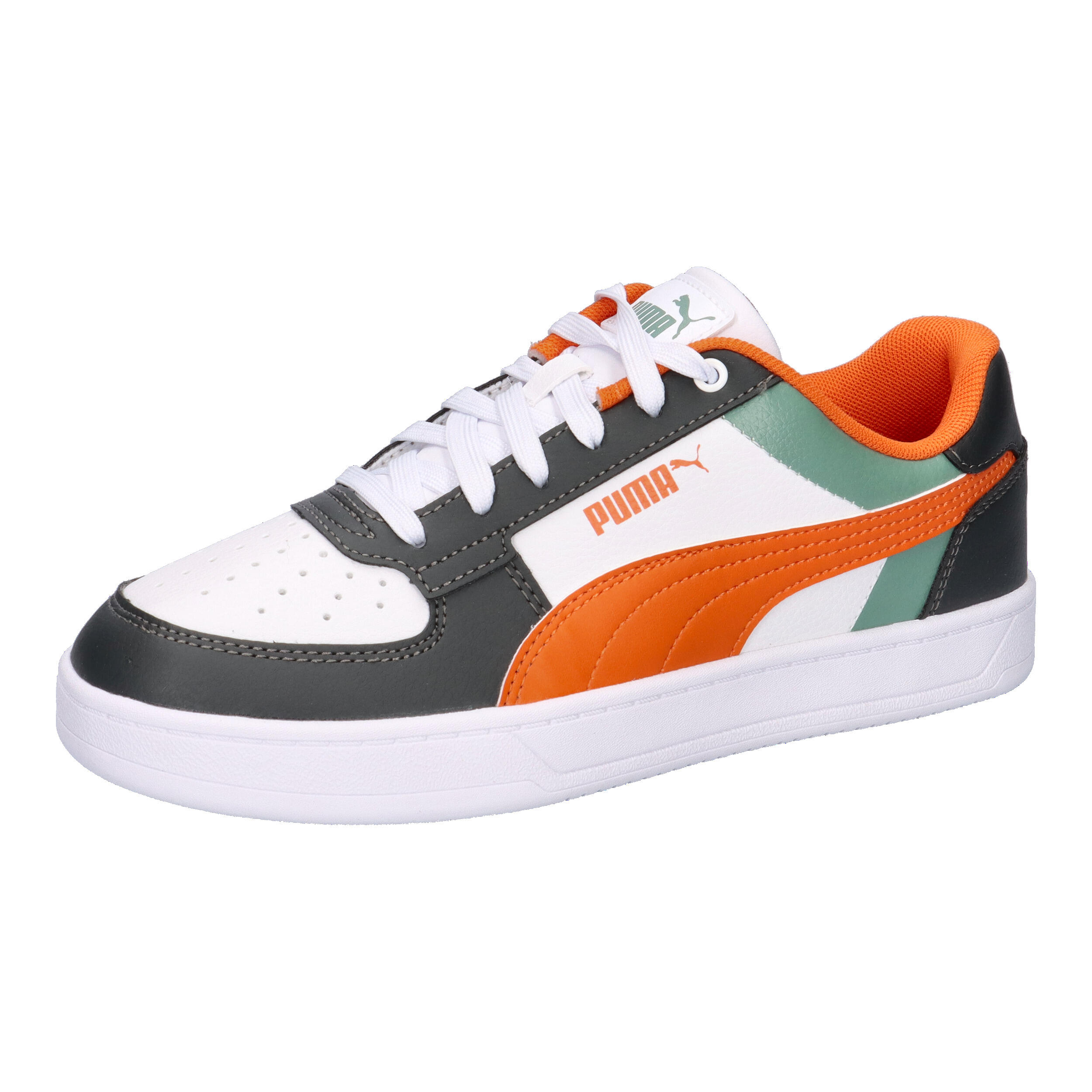 PUMA picture