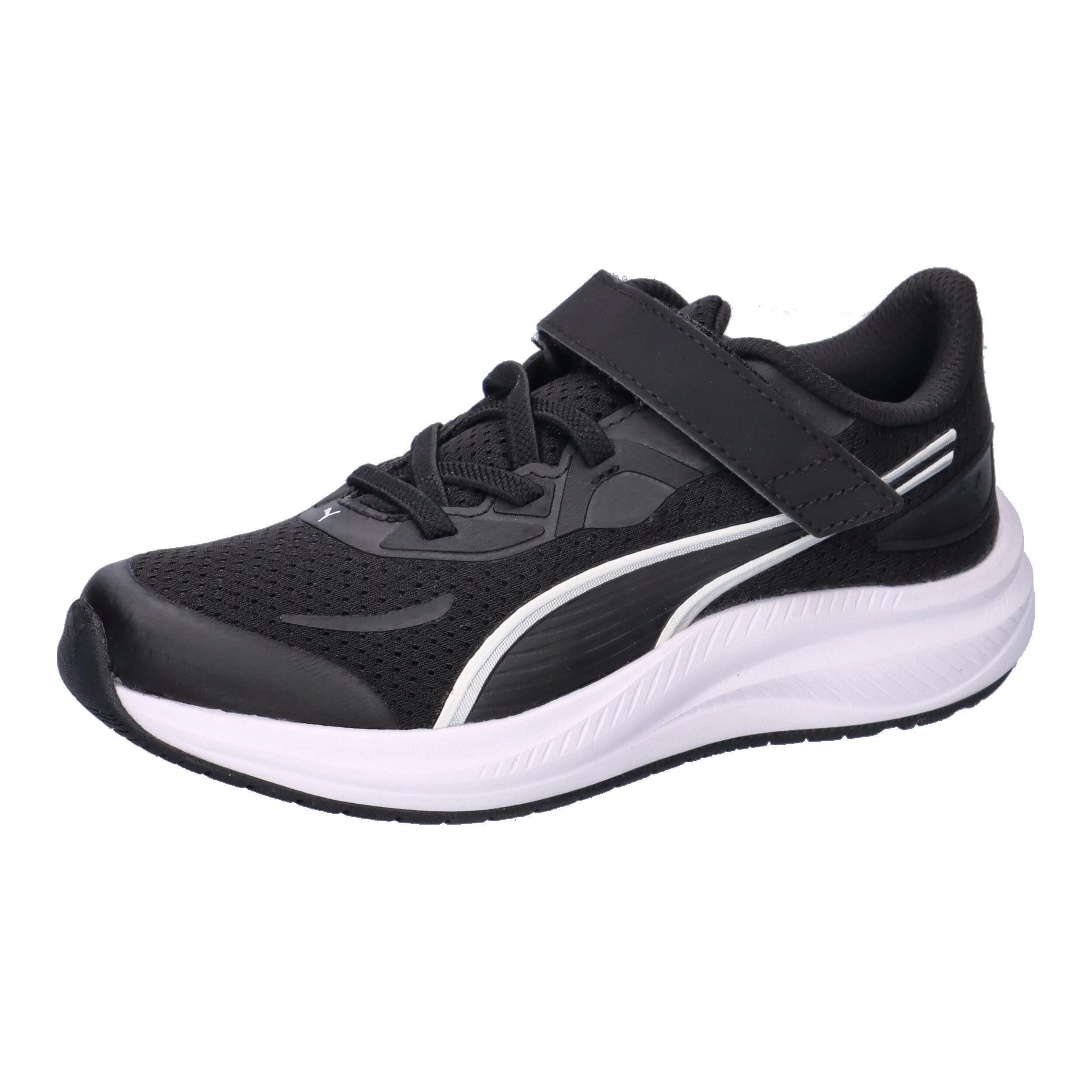 PUMA picture