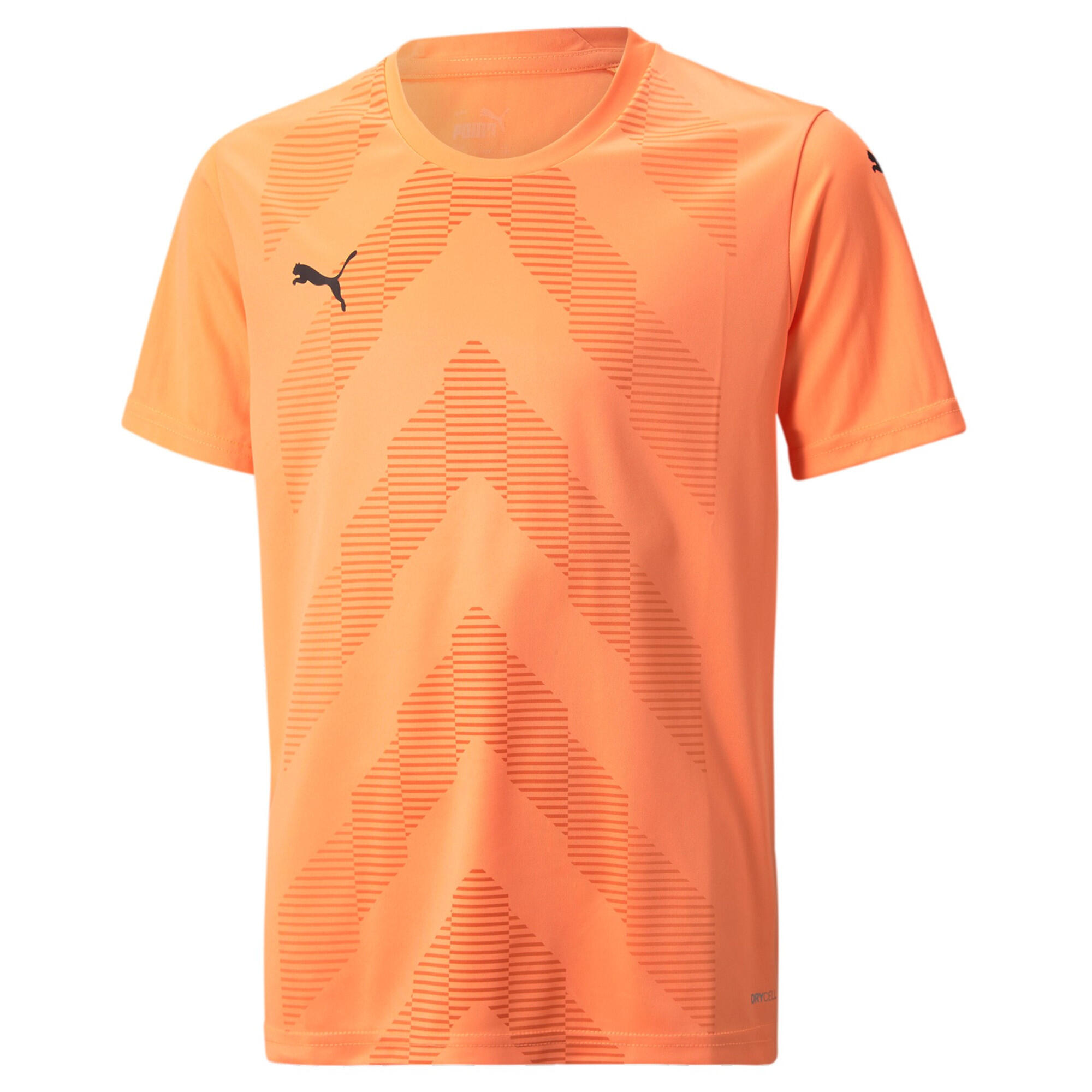 PUMA picture