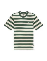 T-shirt pour homme Dickies Rivergrove vert